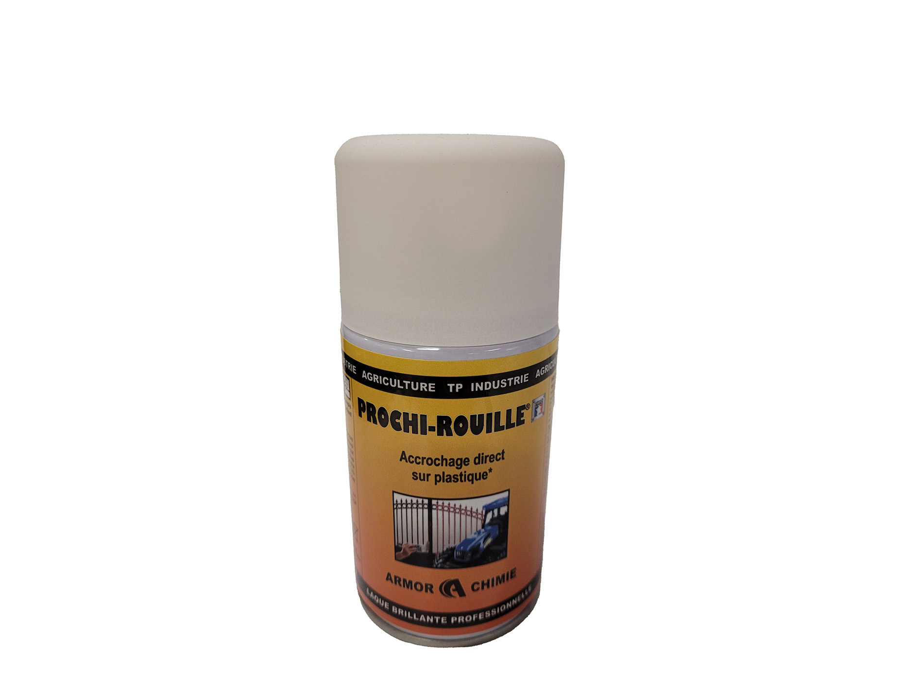 Peinture antirouille aérosol PROCHIROUILLE Blanc satin 9016 250ml
