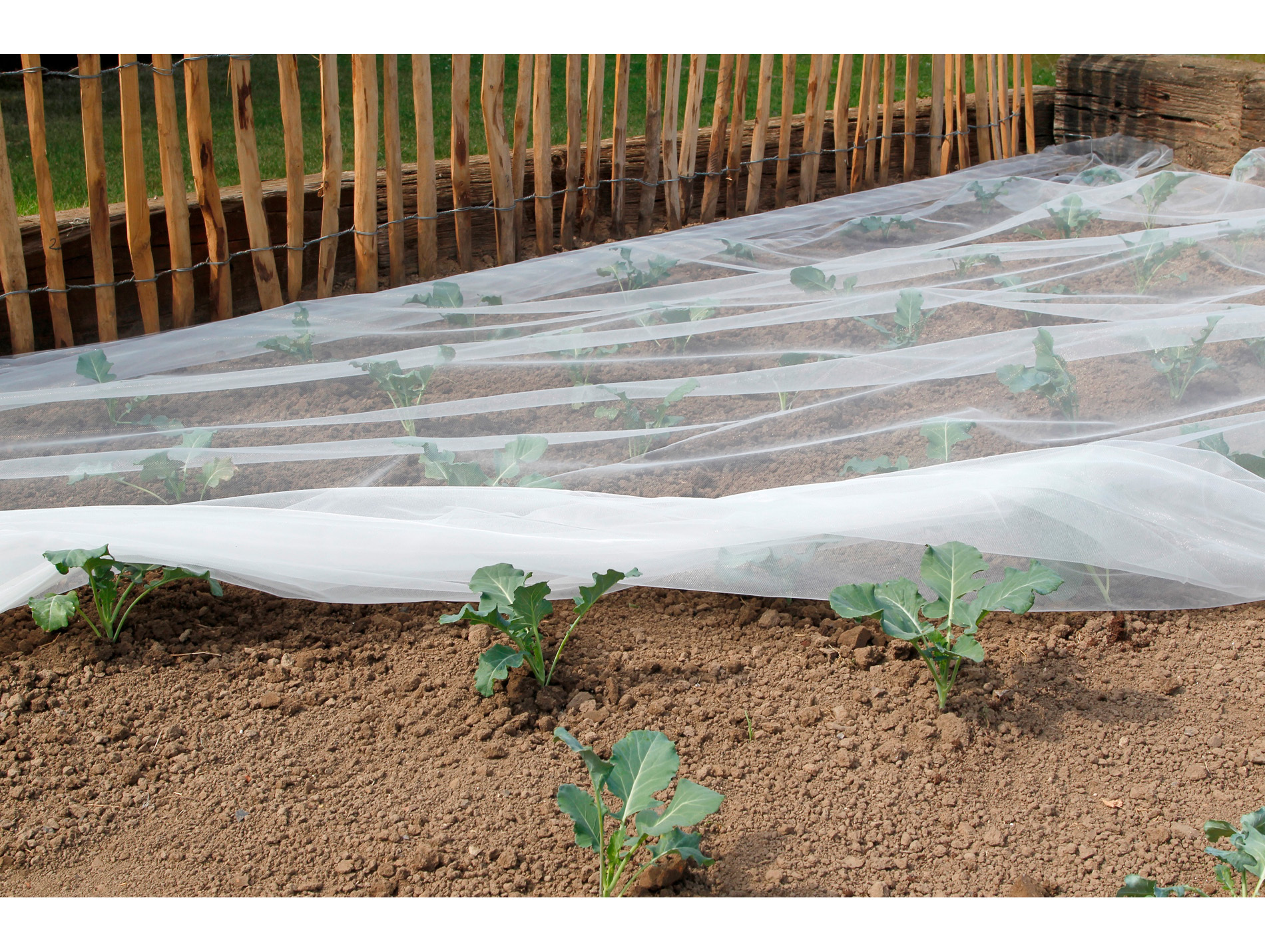 Filet anti-insectes Biocontrol 2,20x10m