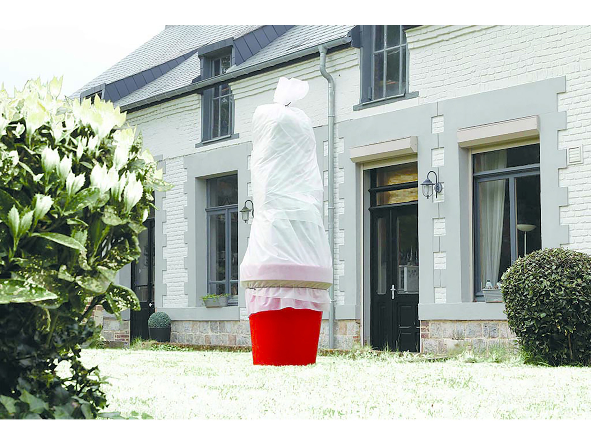 Voile d'hivernage Hivertex 4x6m