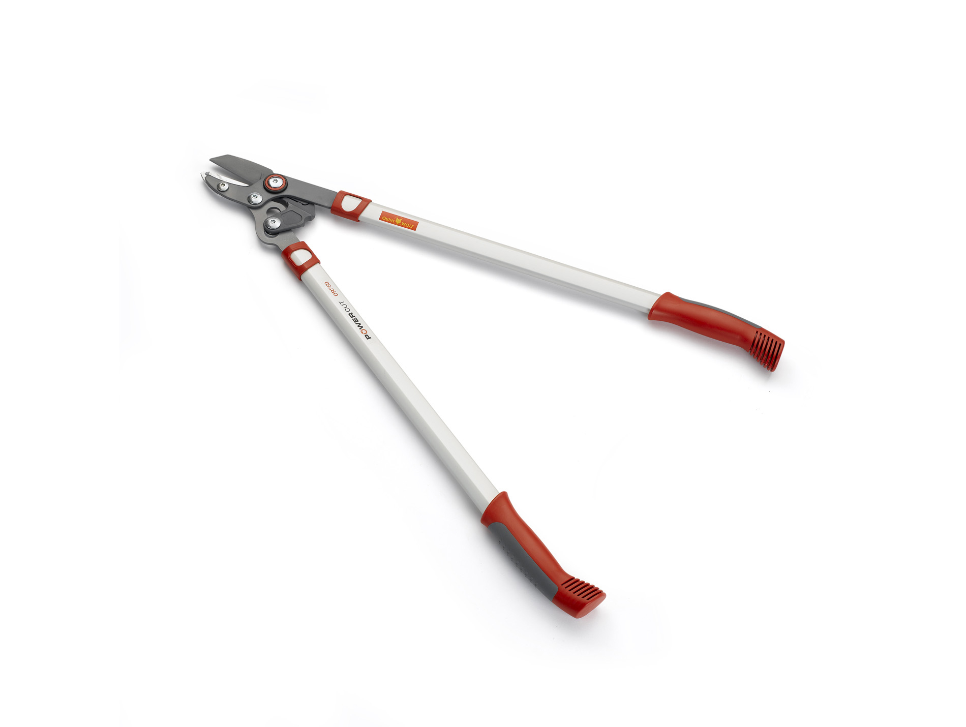 Élagueur OUTILS WOLF PowerCut à coupe mixte 45mm