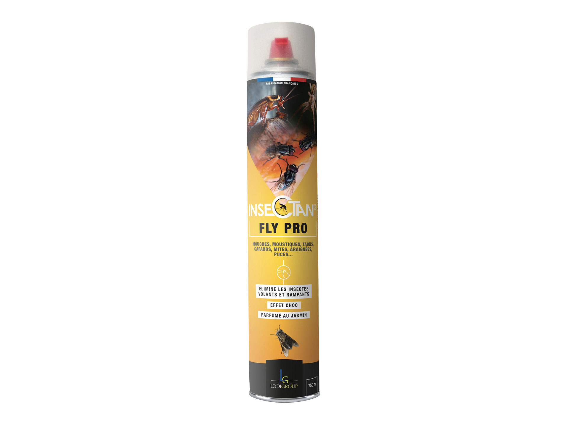 Insecticide intérieur Fly Pro 750ml INSECTAN