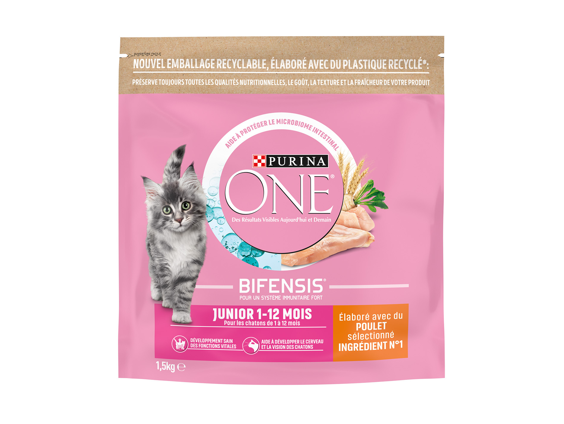 Croquettes chat junior PURINA ONE poulet 1,5kg