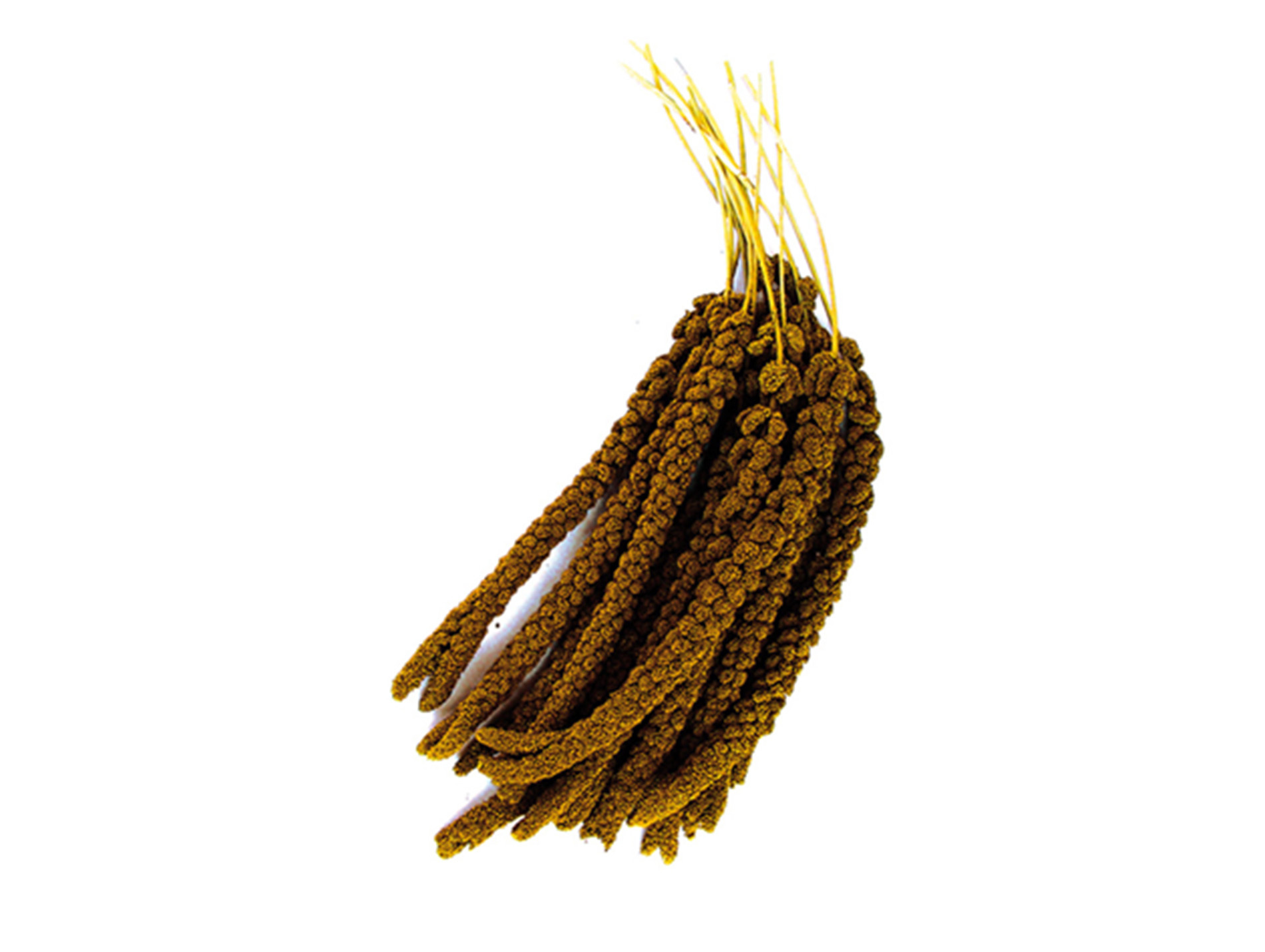 Millet en grappe 500g