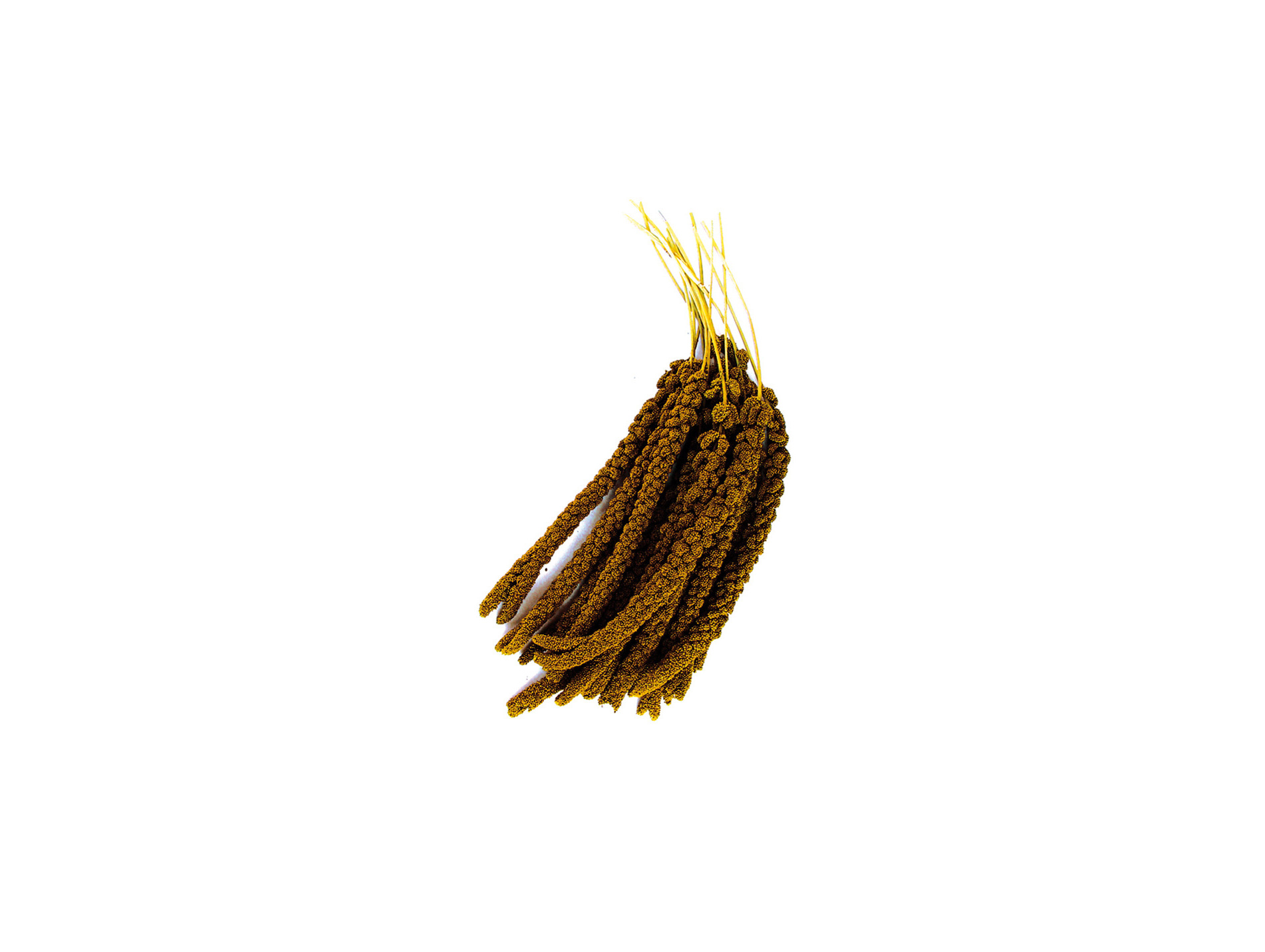 Millet en grappe 1kg