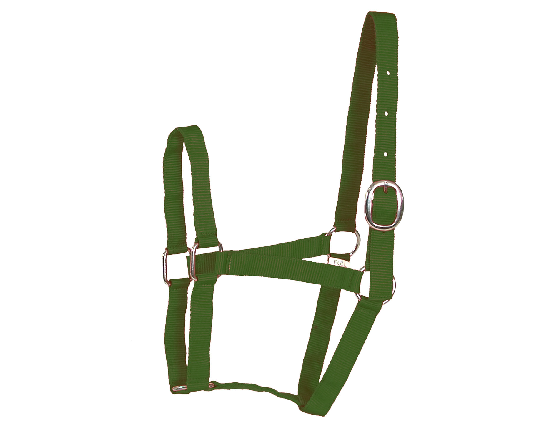 Licol poney en nylon vert