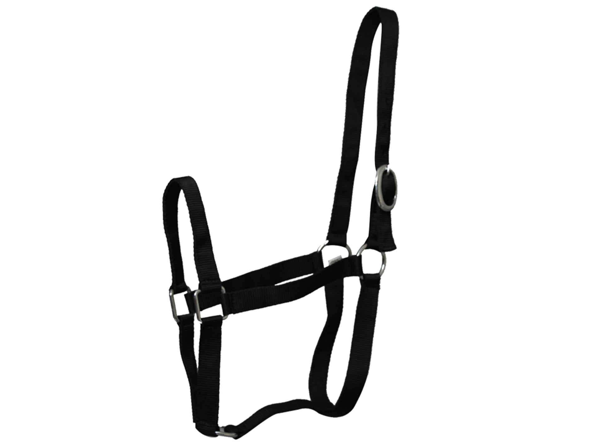 Licol poney en nylon noir