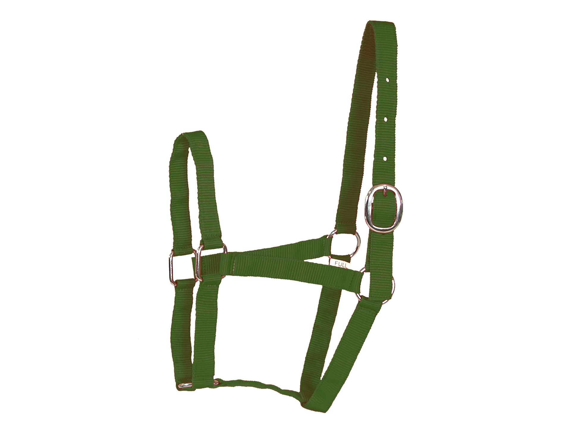Licol double poney en nylon vert
