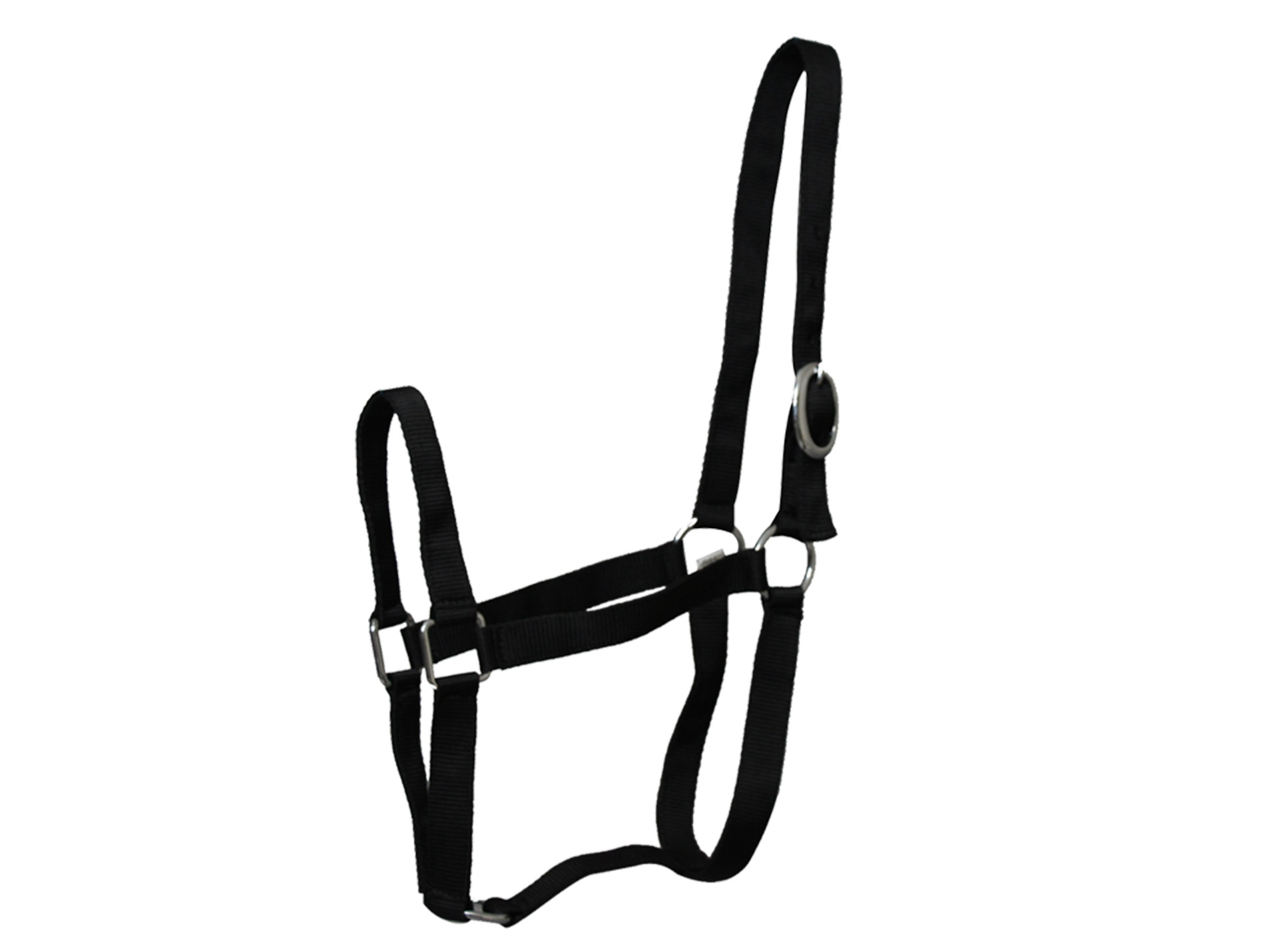 Licol double poney en nylon noir