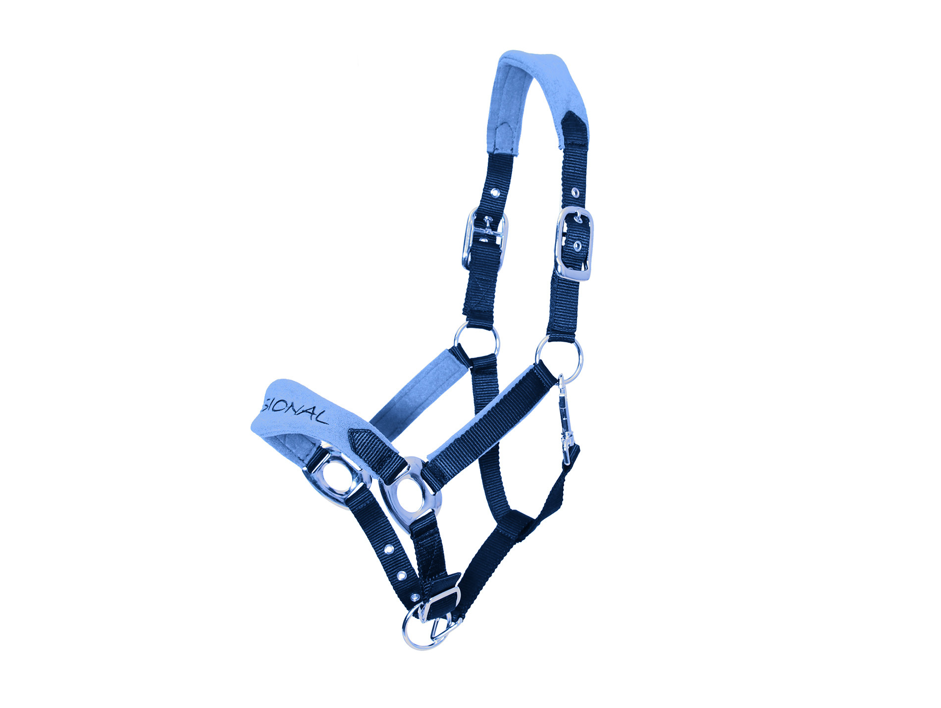 Licol confort cheval navy/ciel