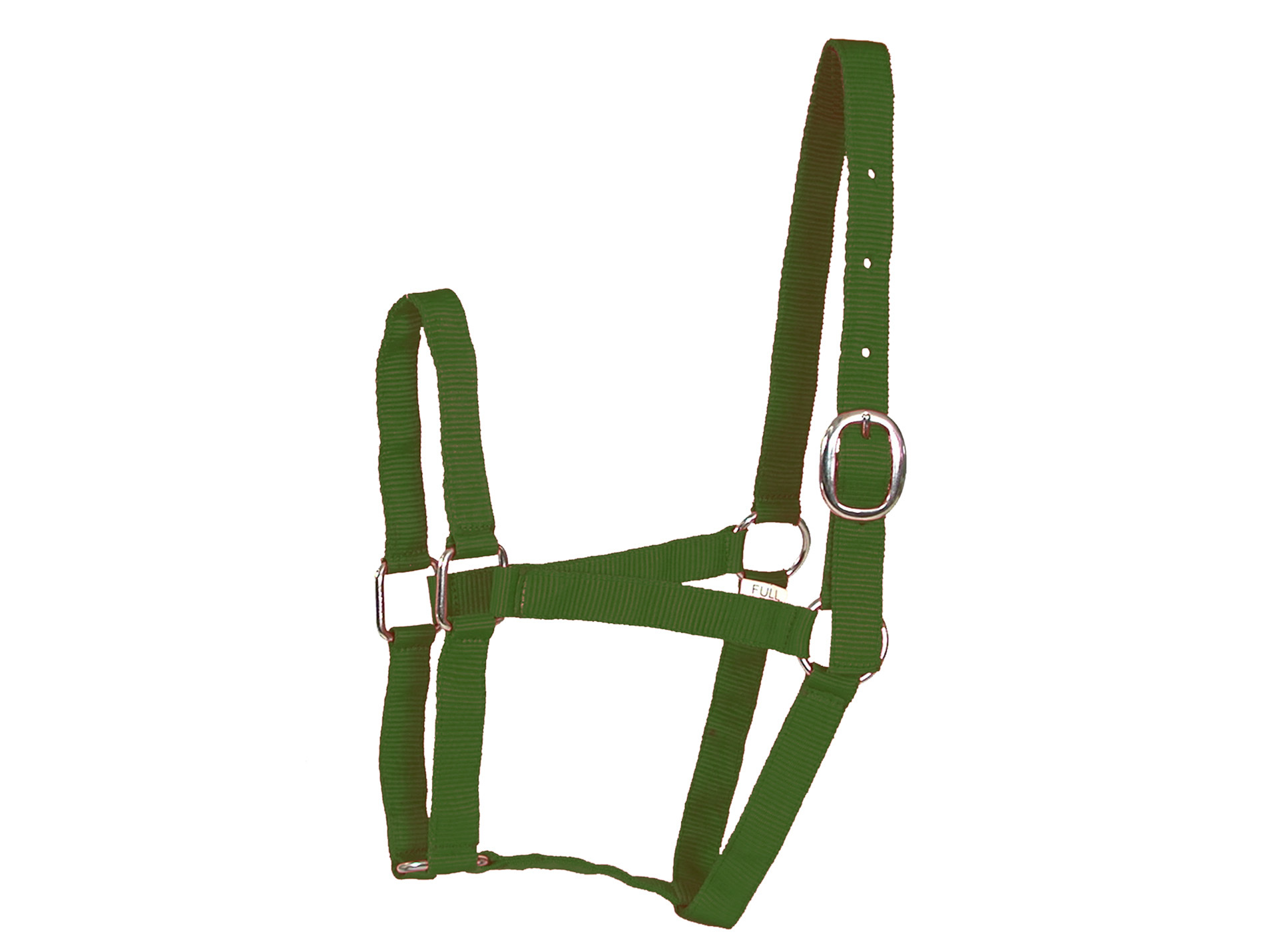 Licol Eco cheval en nylon vert