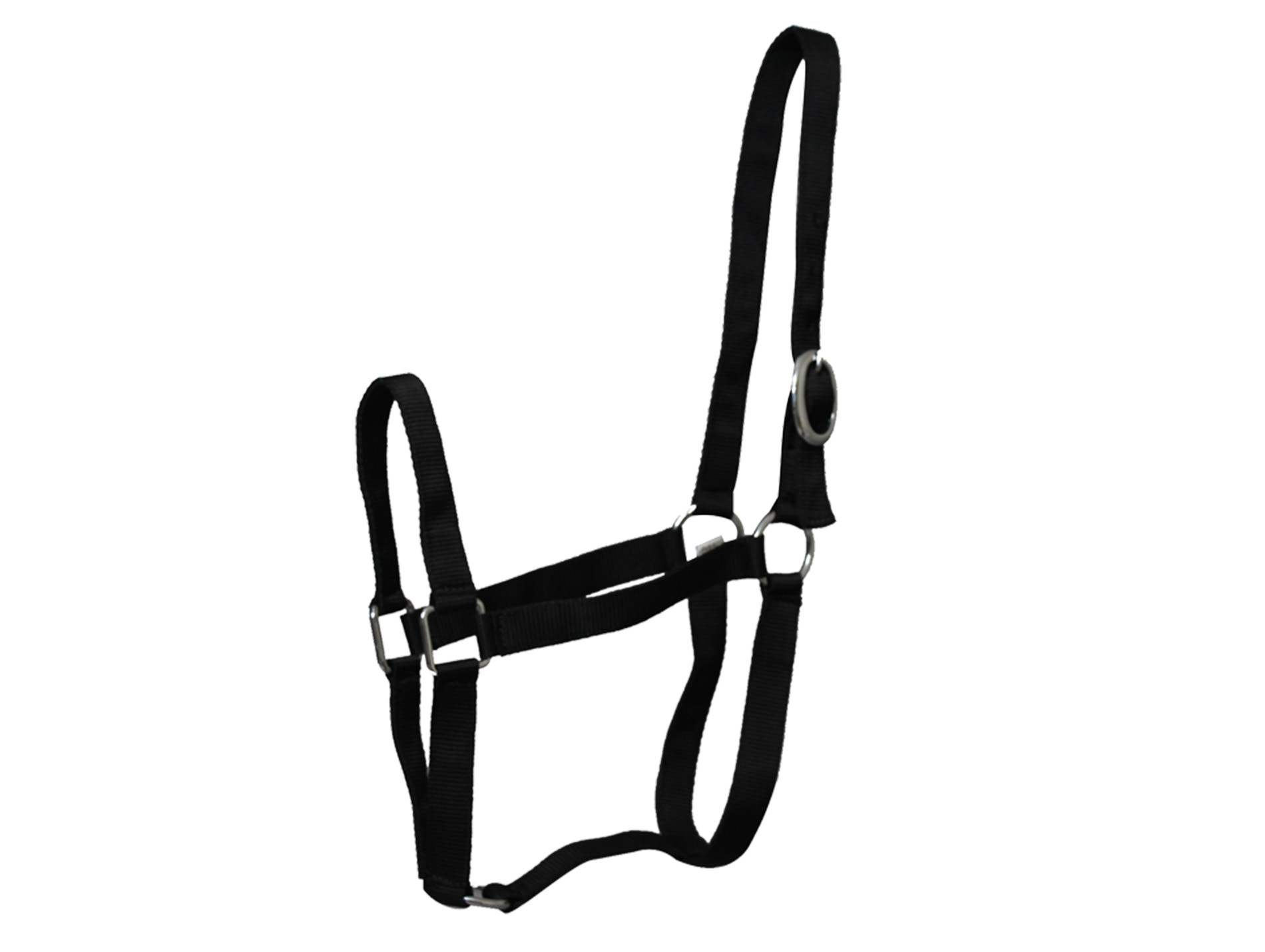 Licol Eco cheval en nylon noir