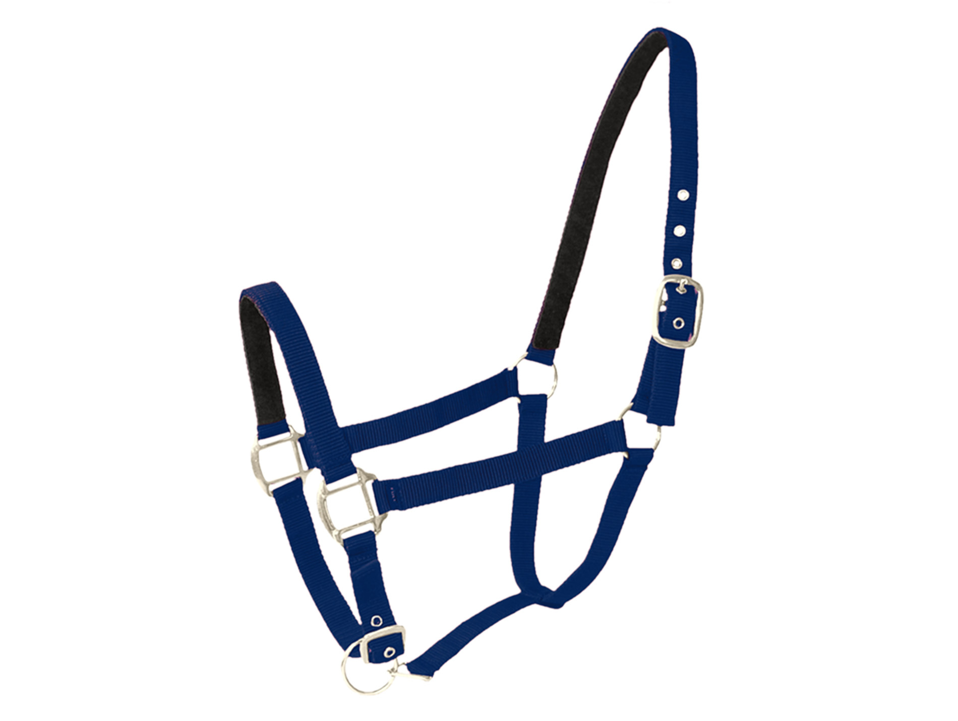 Licol poney en cuir navy