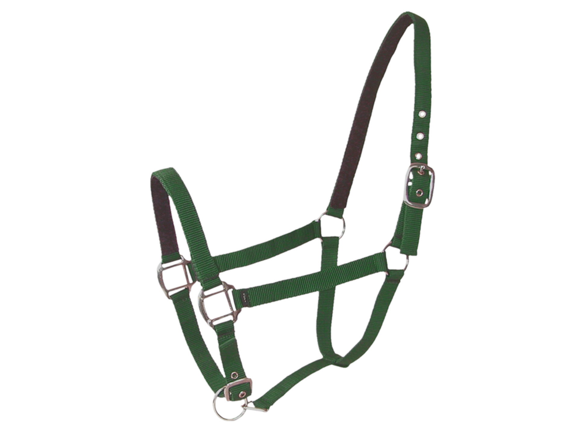 Licol poney en cuir vert