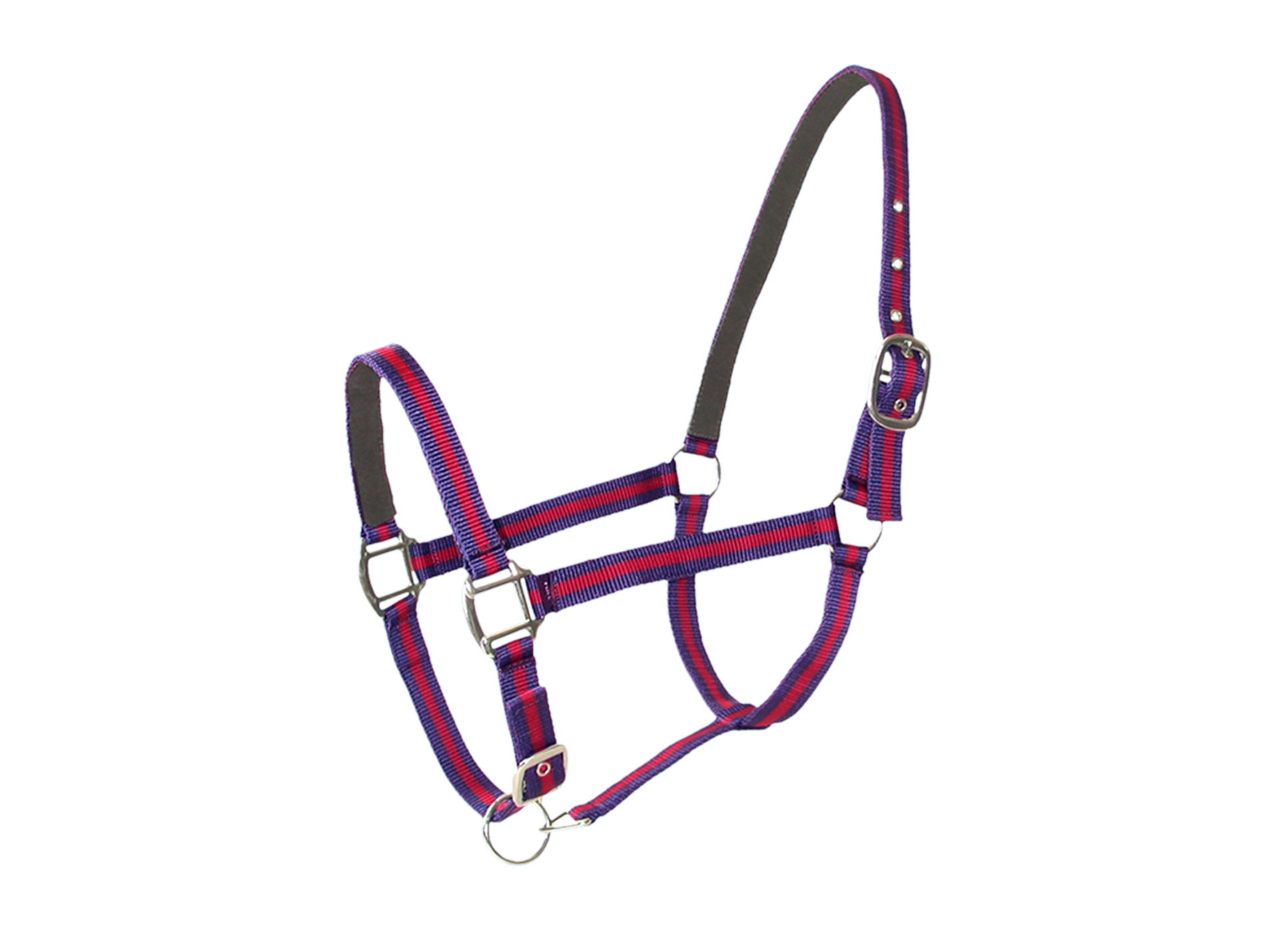 Licol poney en cuir bleu/rouge