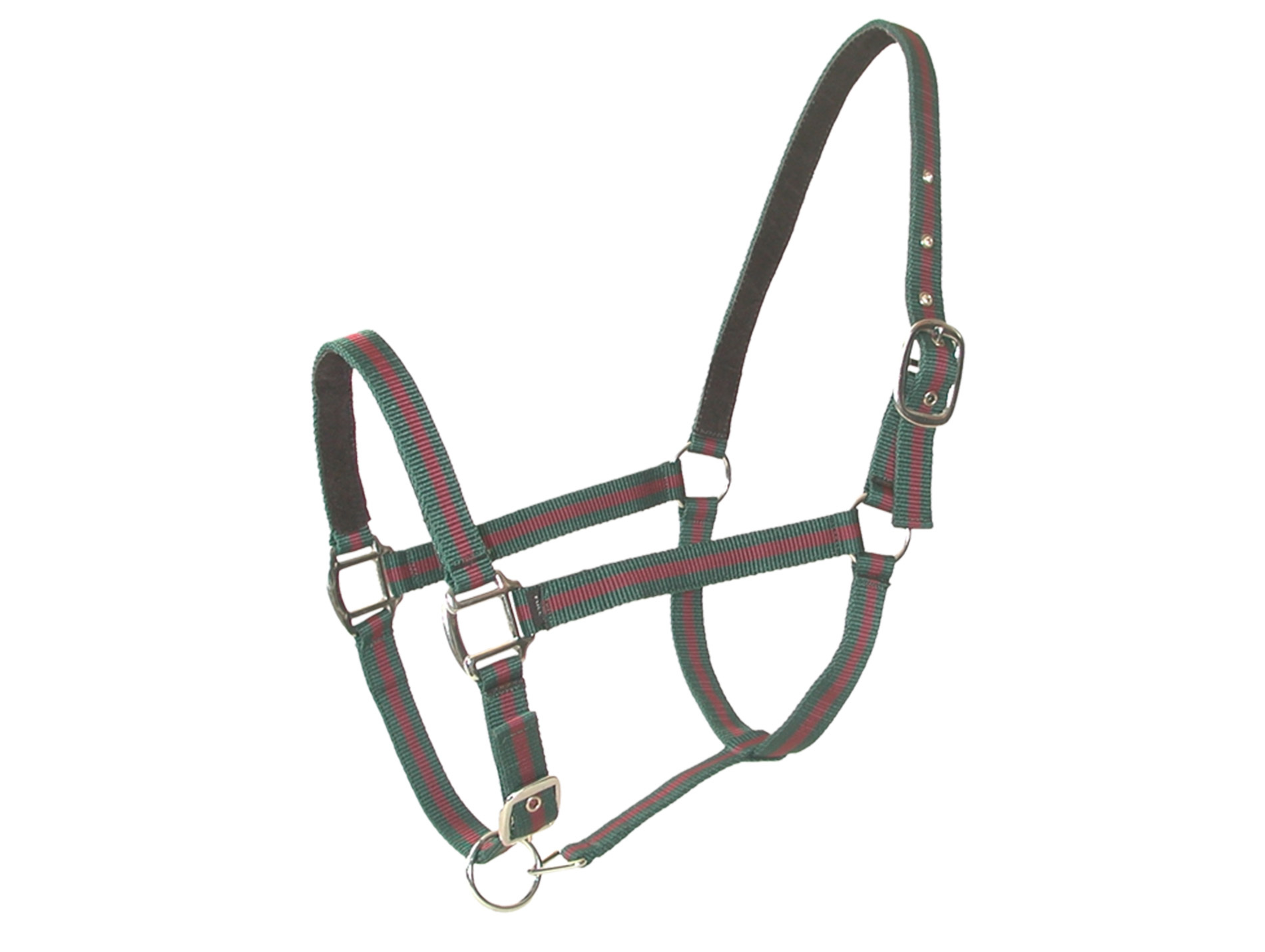 Licol poney en cuir vert/bordeaux