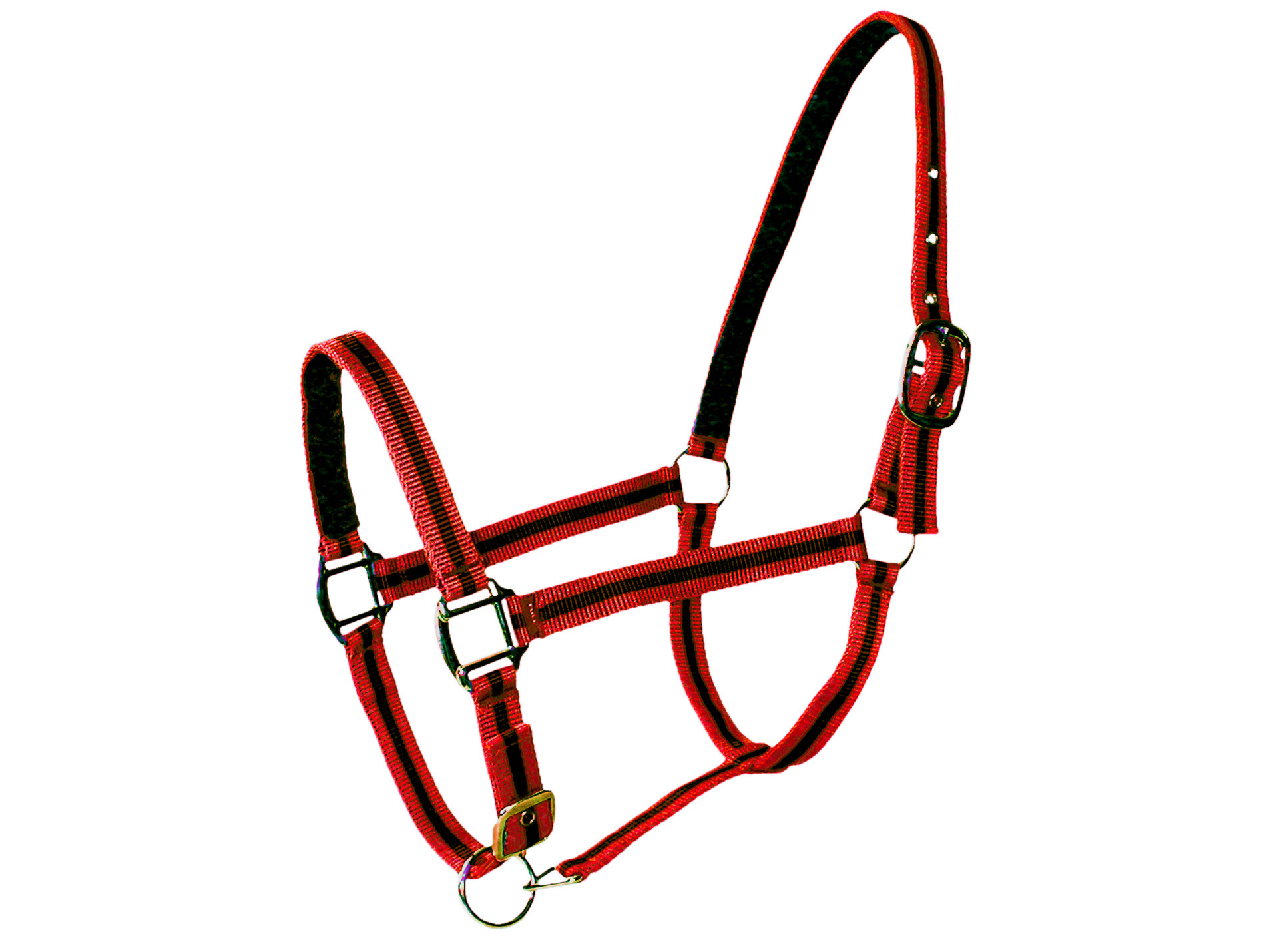Licol poney en cuir rouge/noir