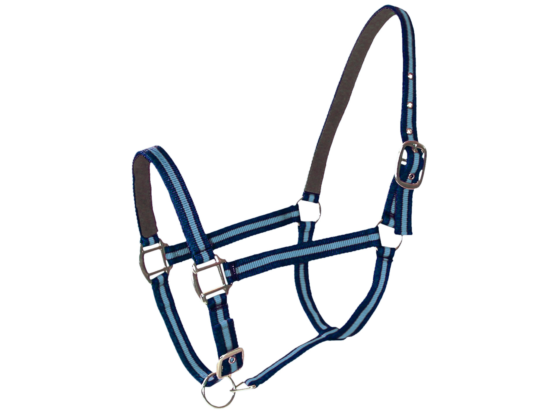 Licol double poney en cuir navy/ciel