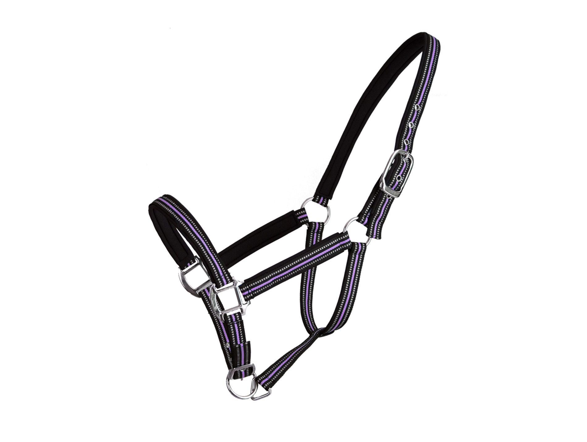 Licol Réflective réfléchissant poney violet