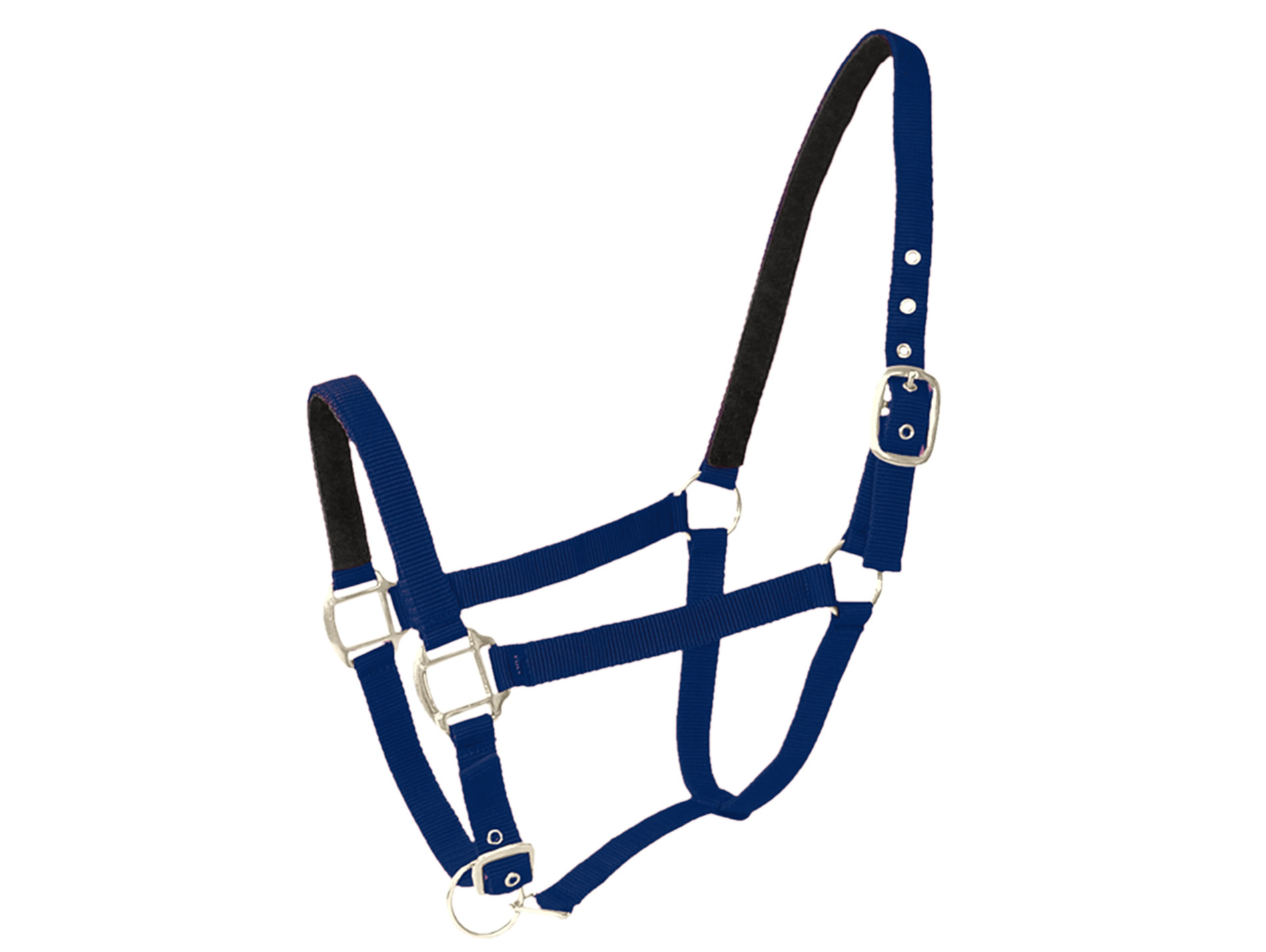 Licol double poney en cuir navy