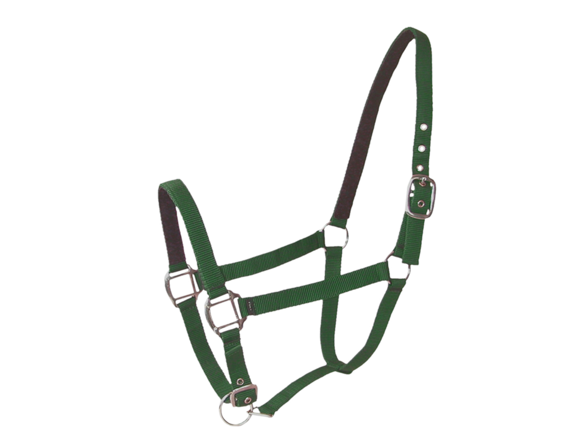 Licol double poney en cuir vert
