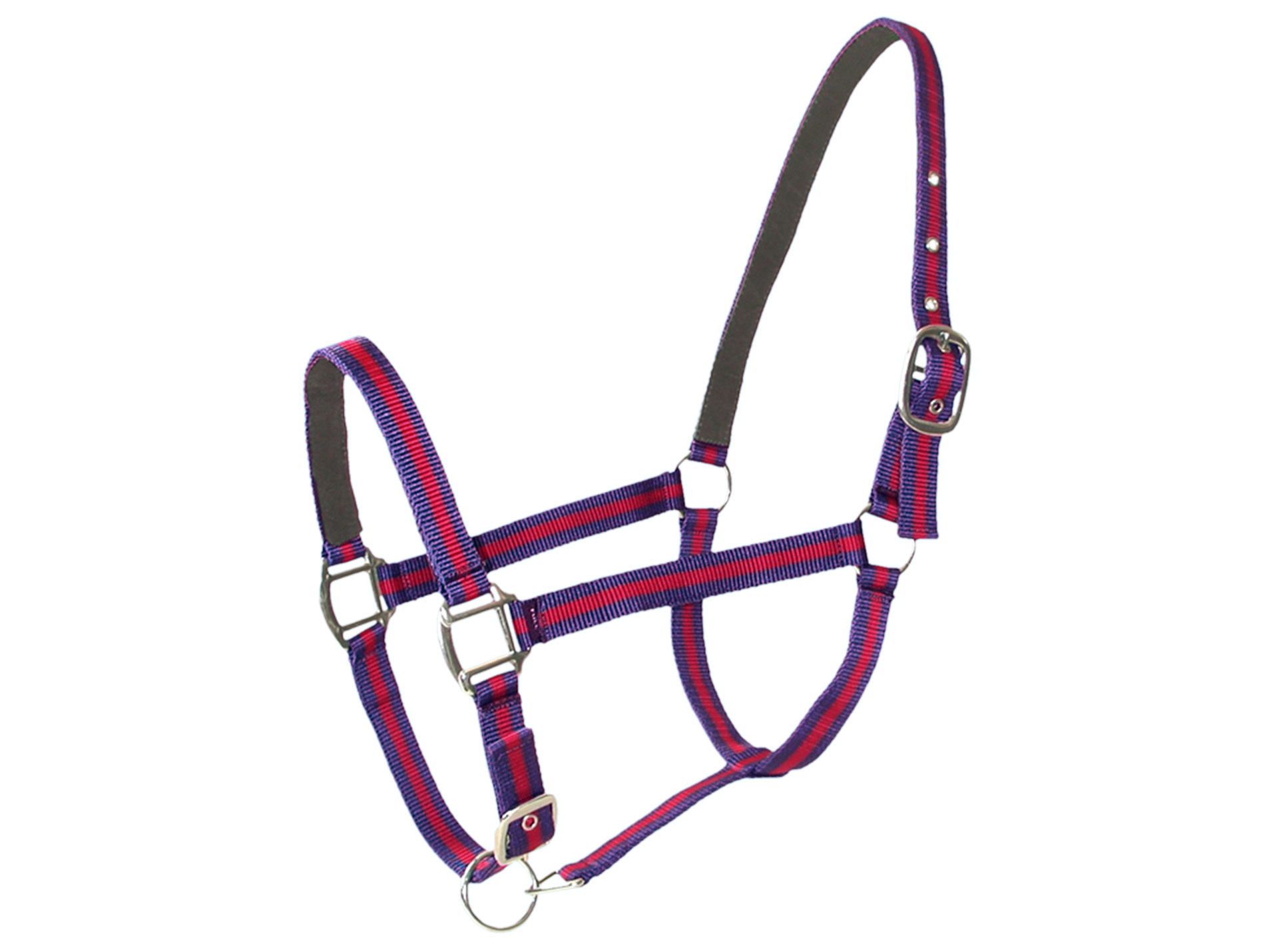 Licol double poney en cuir bleu/rouge