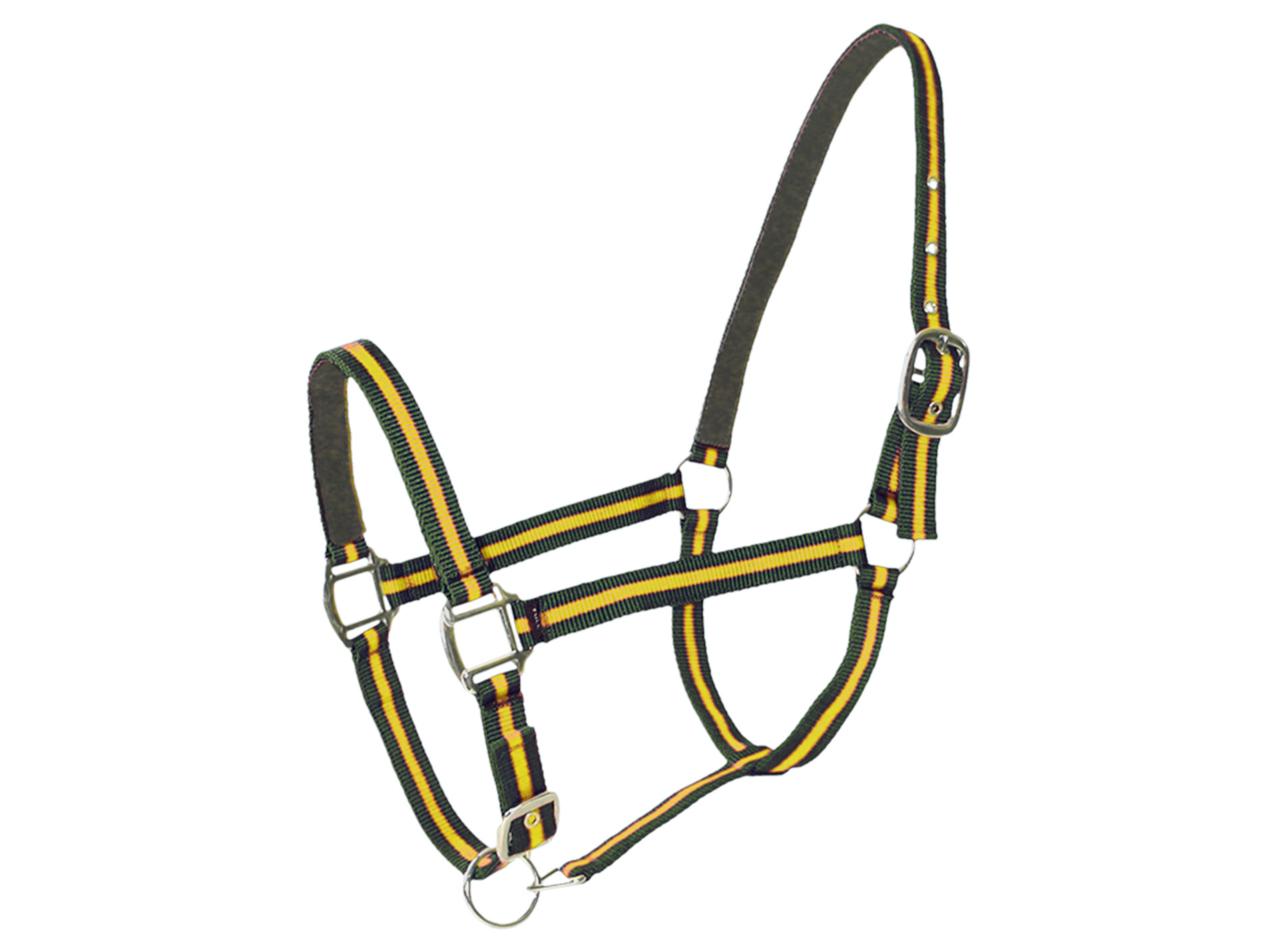 Licol double poney en cuir vert/jaune
