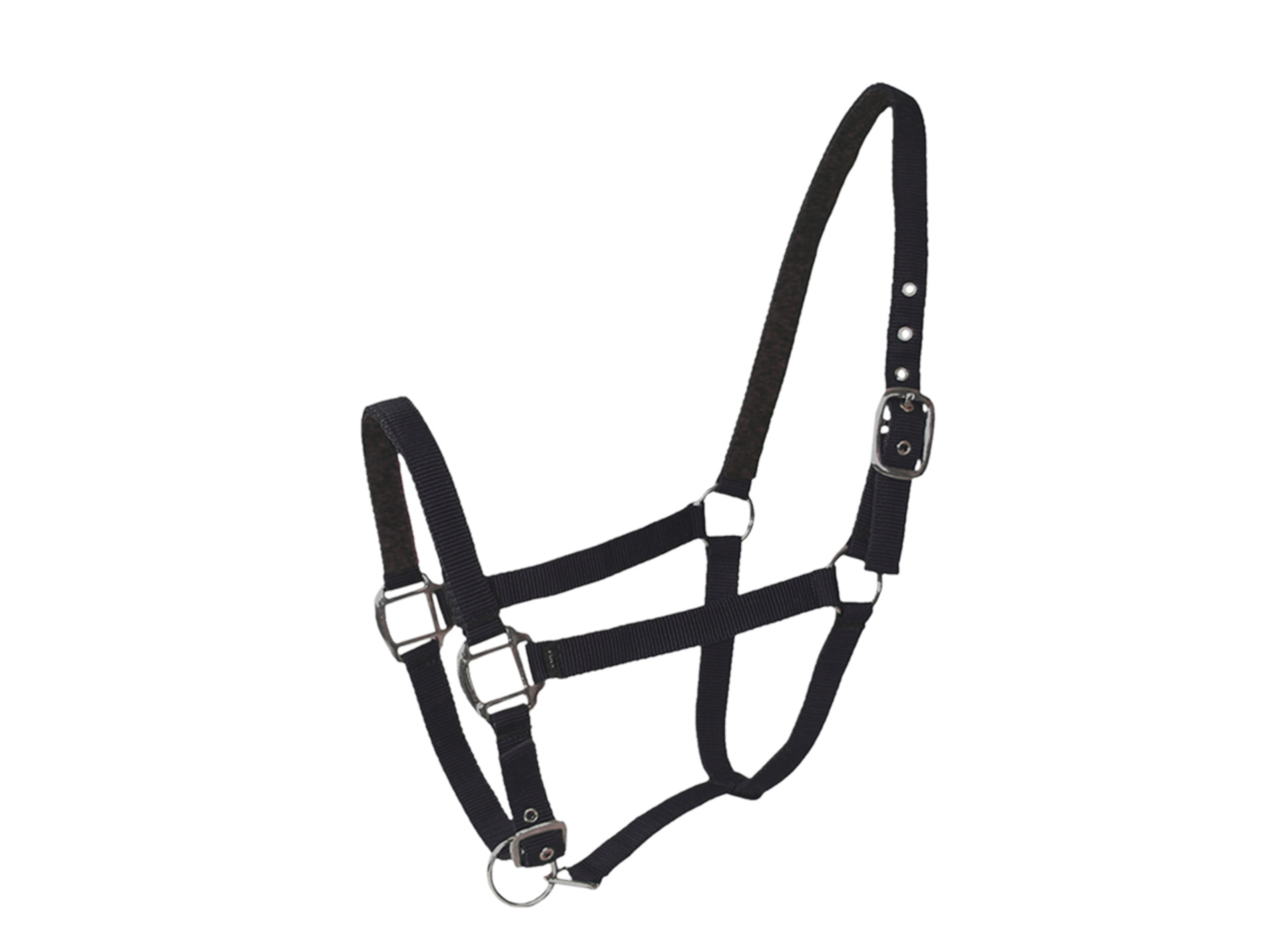 Licol double poney en cuir noir