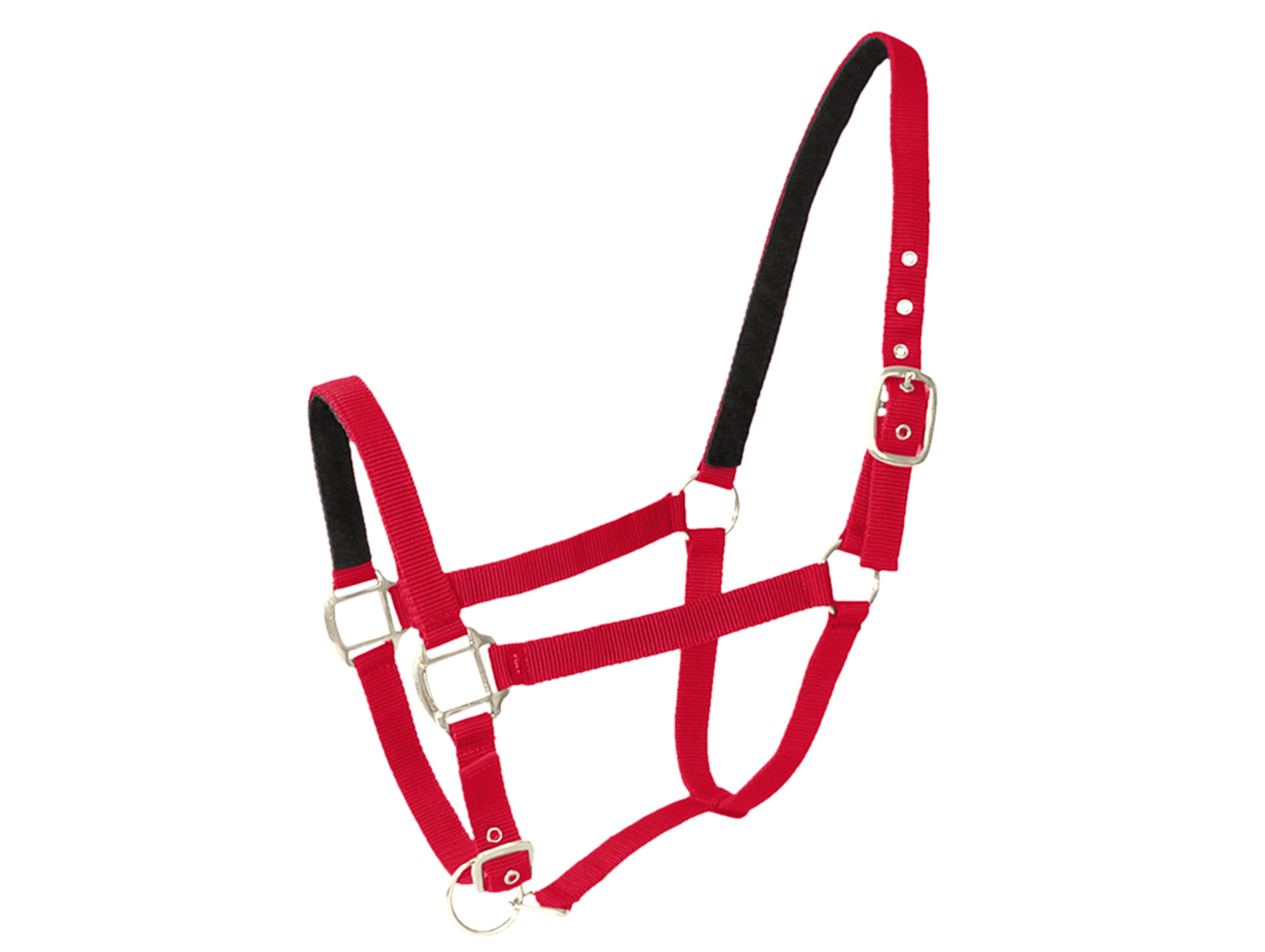 Licol cheval en cuir rouge