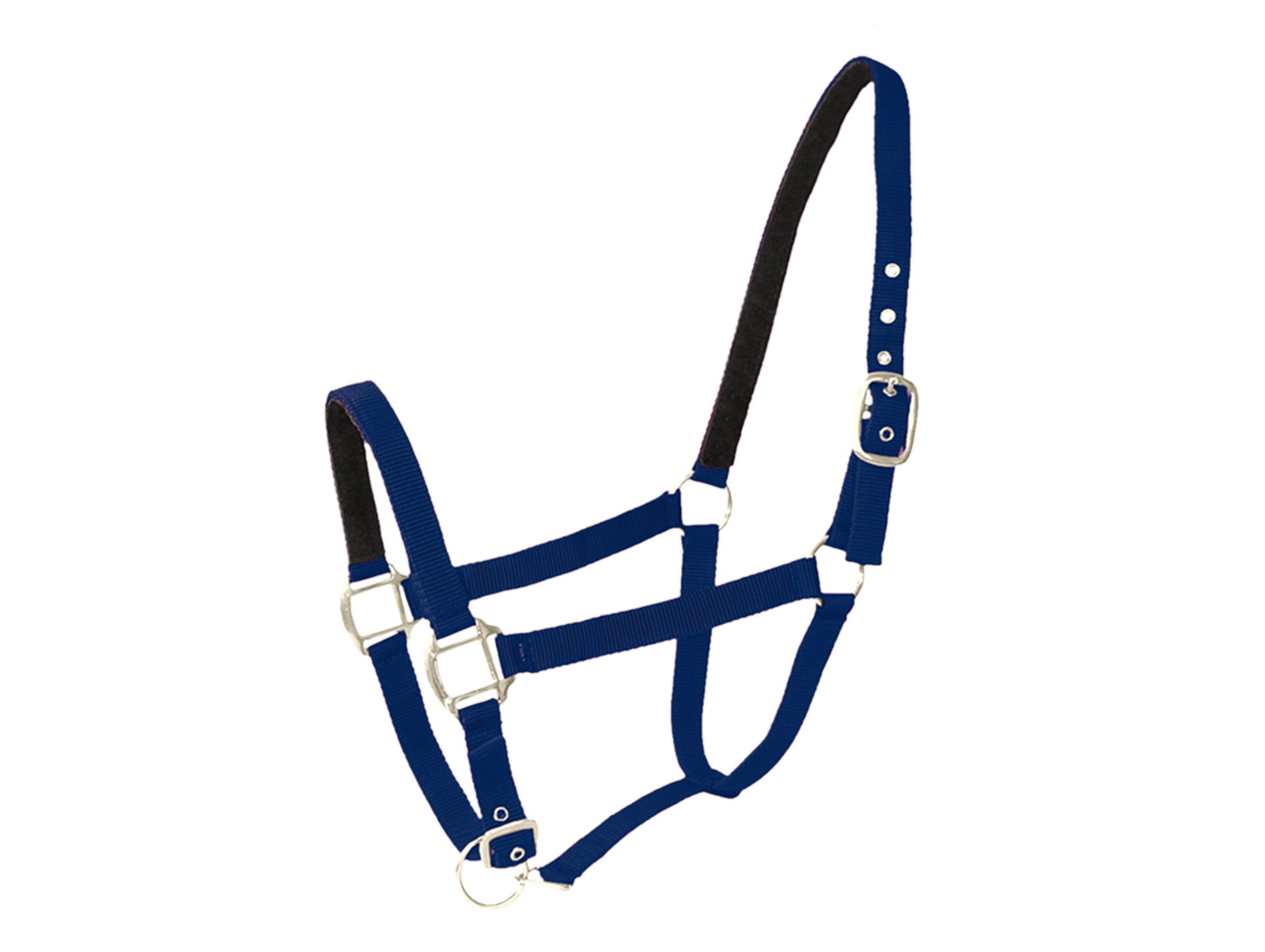 Licol cheval en cuir navy