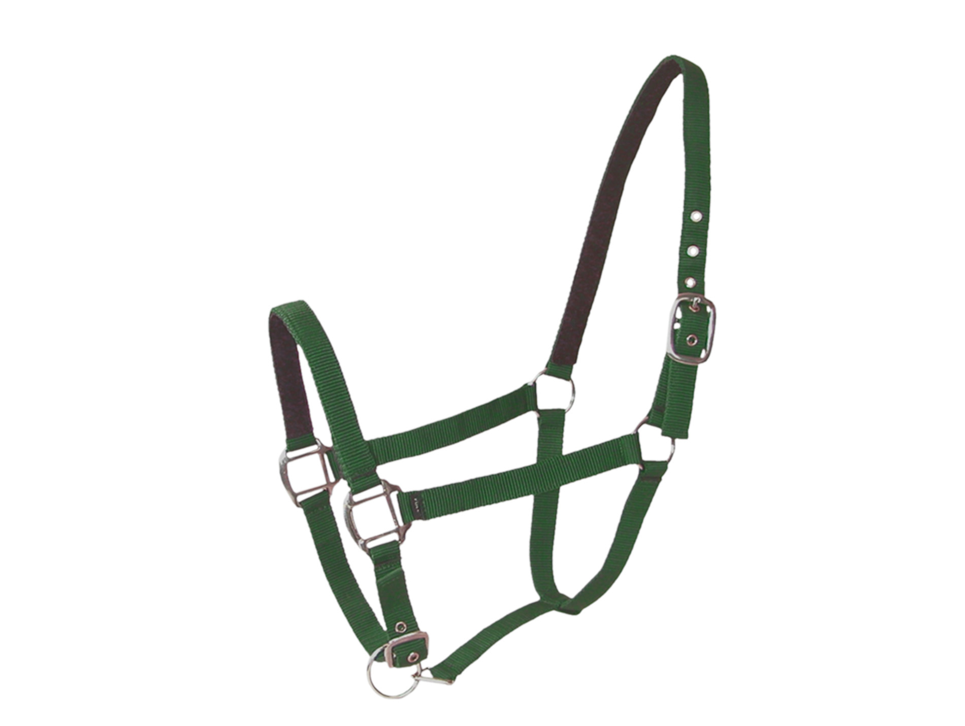 Licol cheval en cuir vert