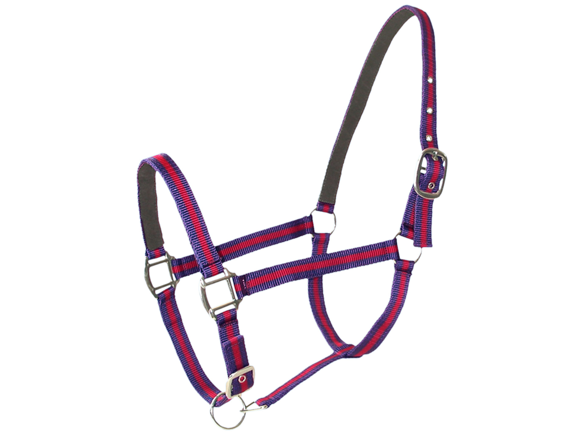 Licol cheval en cuir bleu/rouge