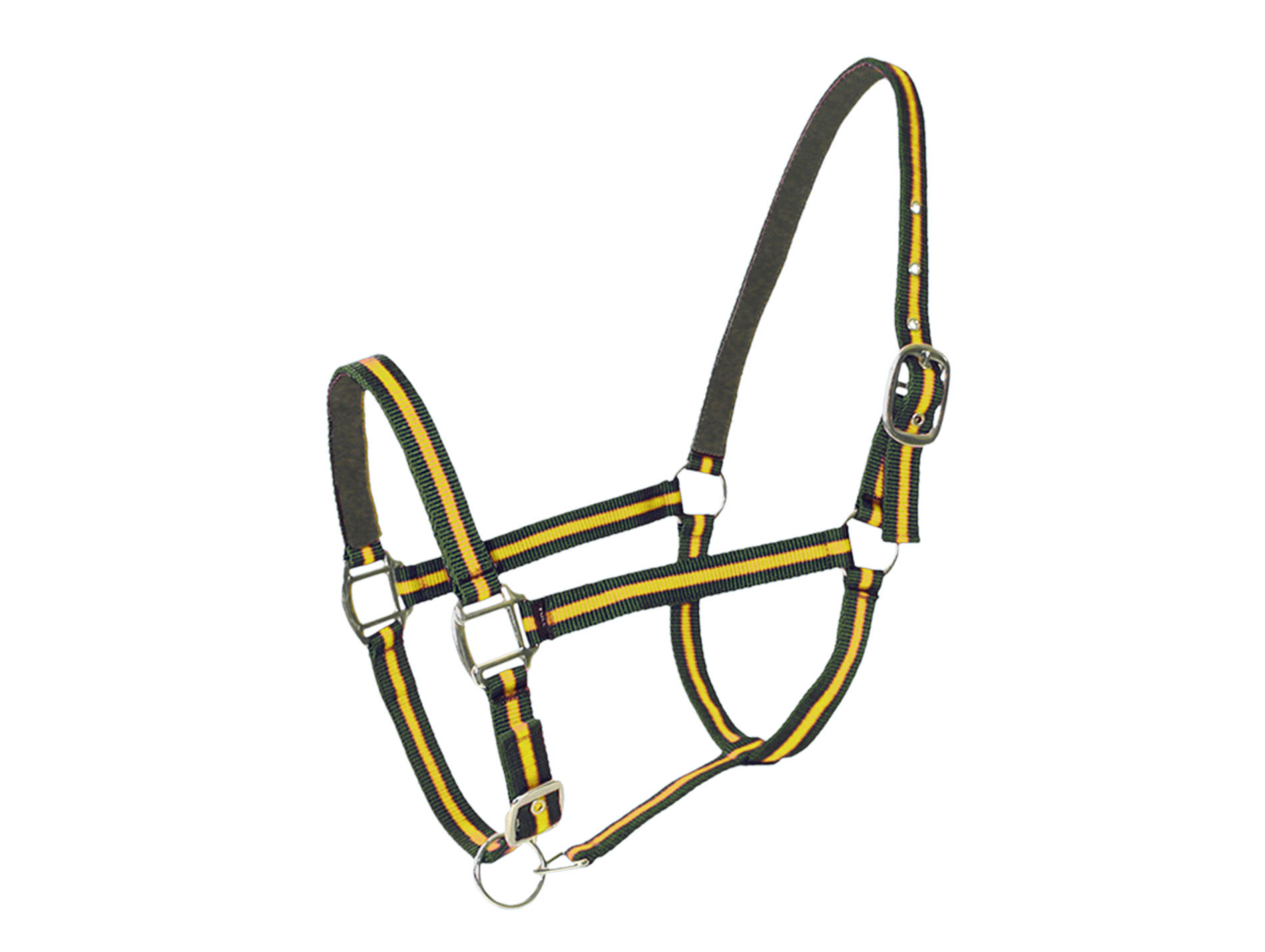 Licol cheval en cuir vert/jaune