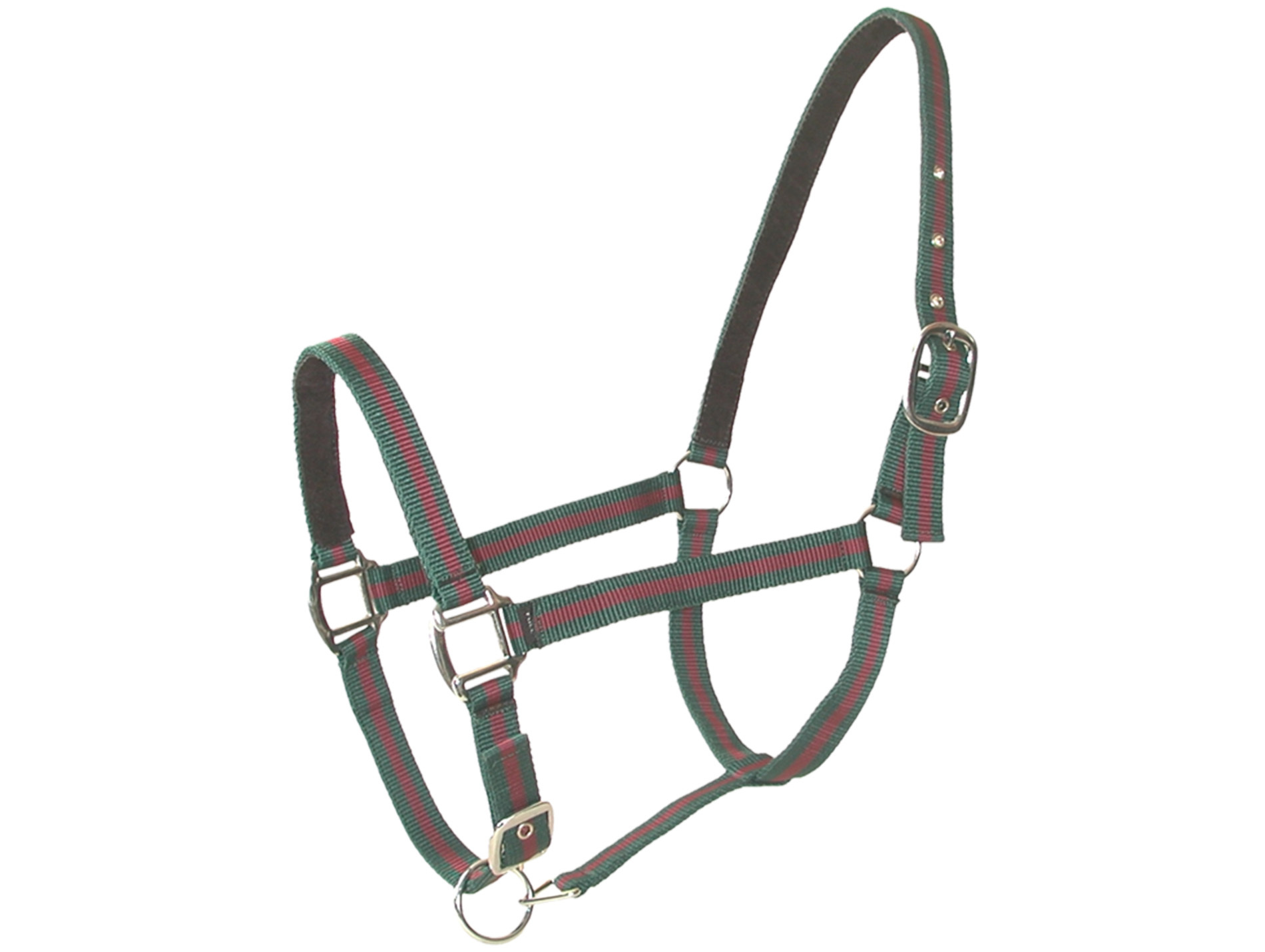 Licol cheval en cuir vert/bordeaux