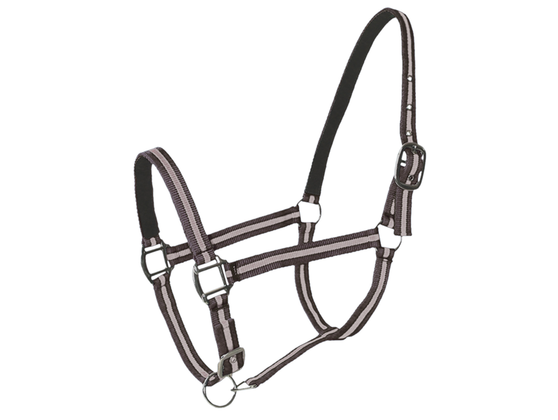 Licol cheval en cuir chocolat/beige