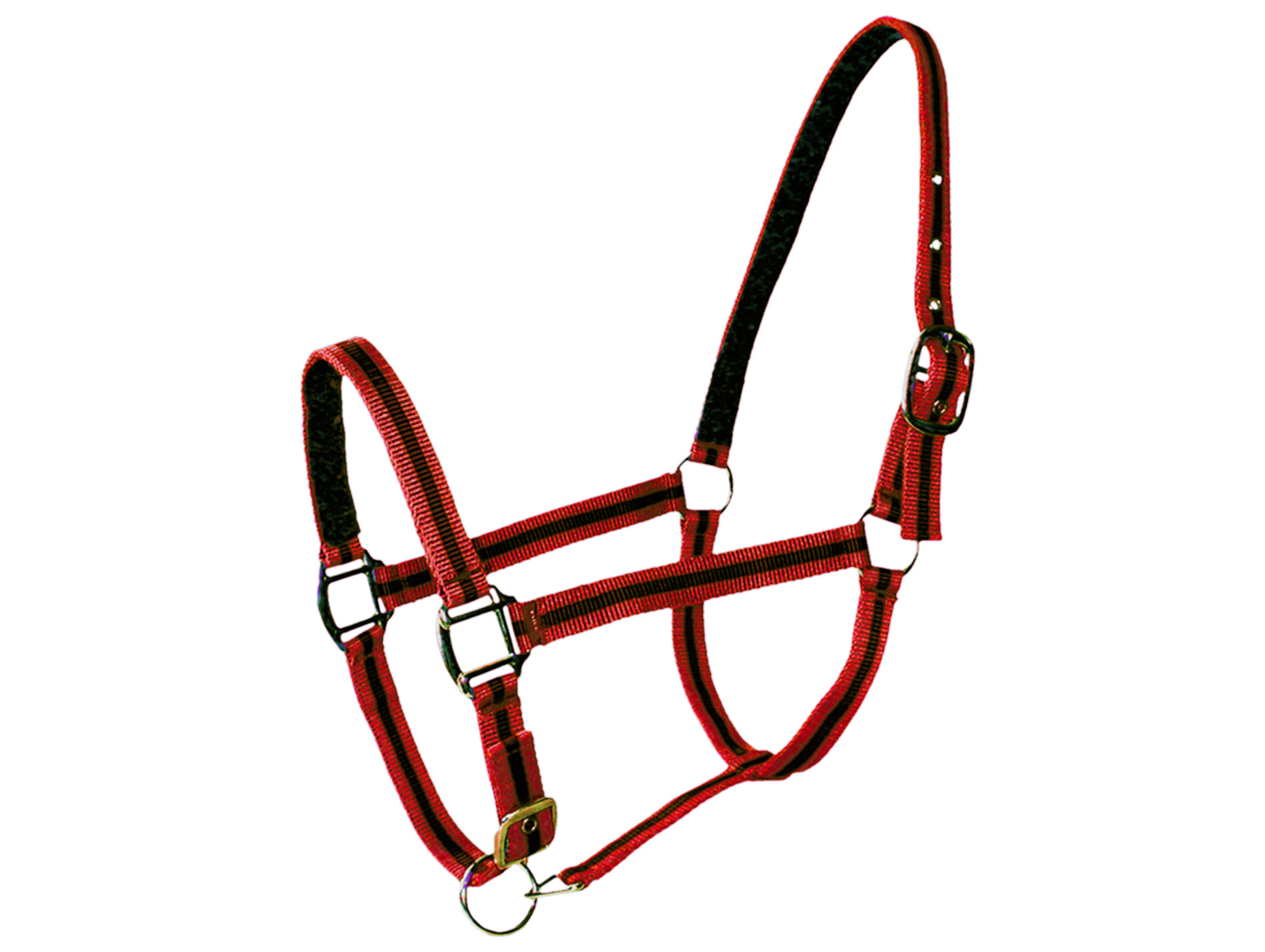 Licol cheval en cuir rouge/noir