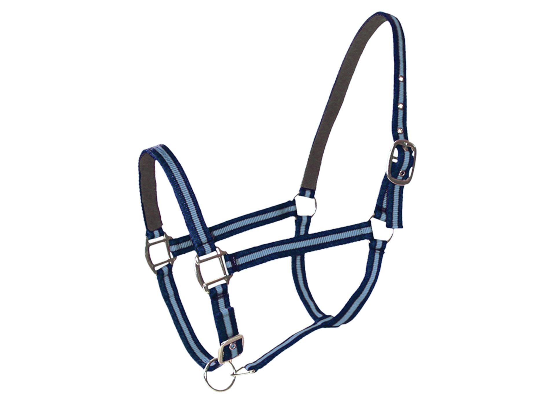 Licol cheval en cuir navy/ciel