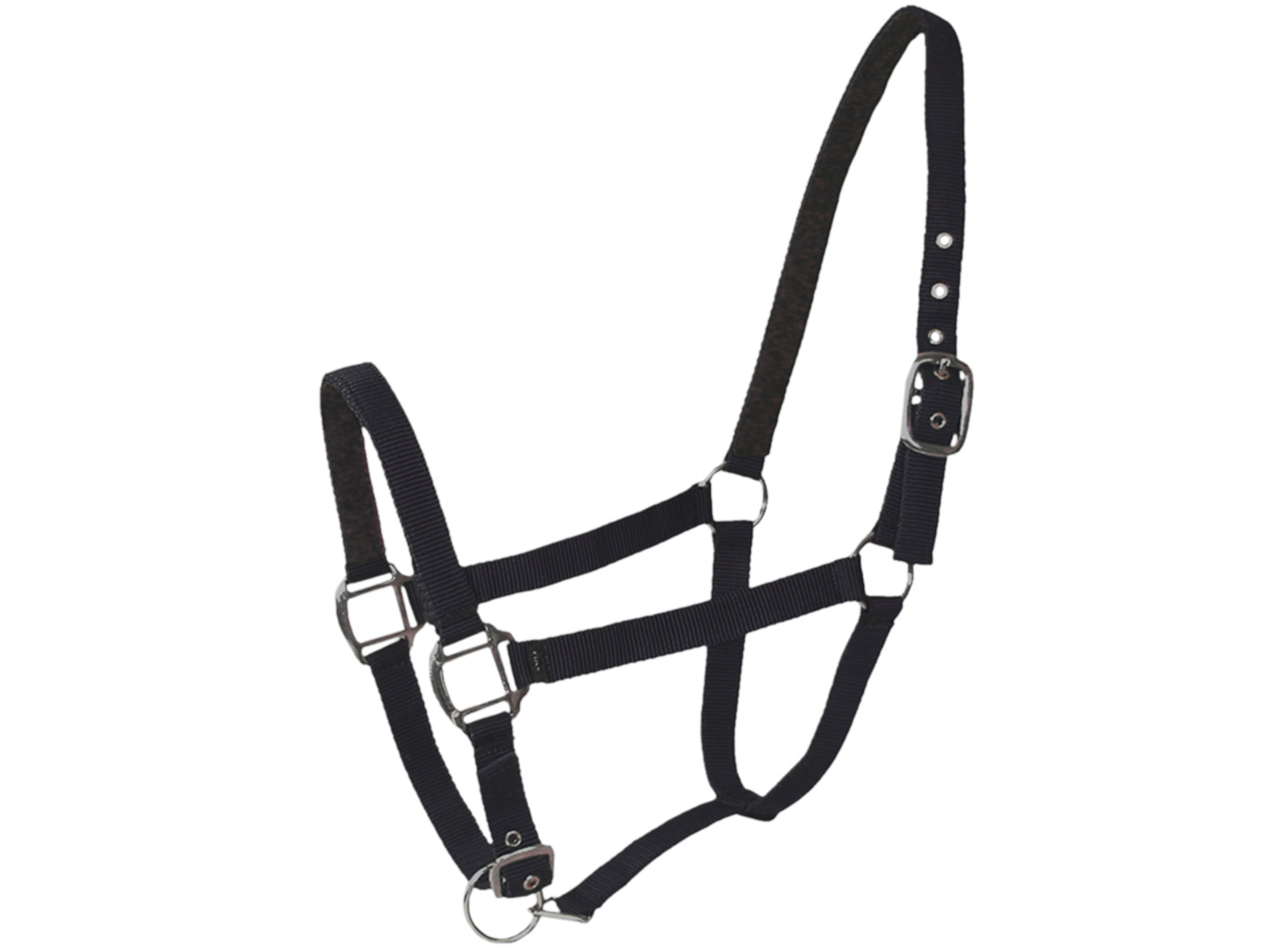 Licol cheval en cuir  noir