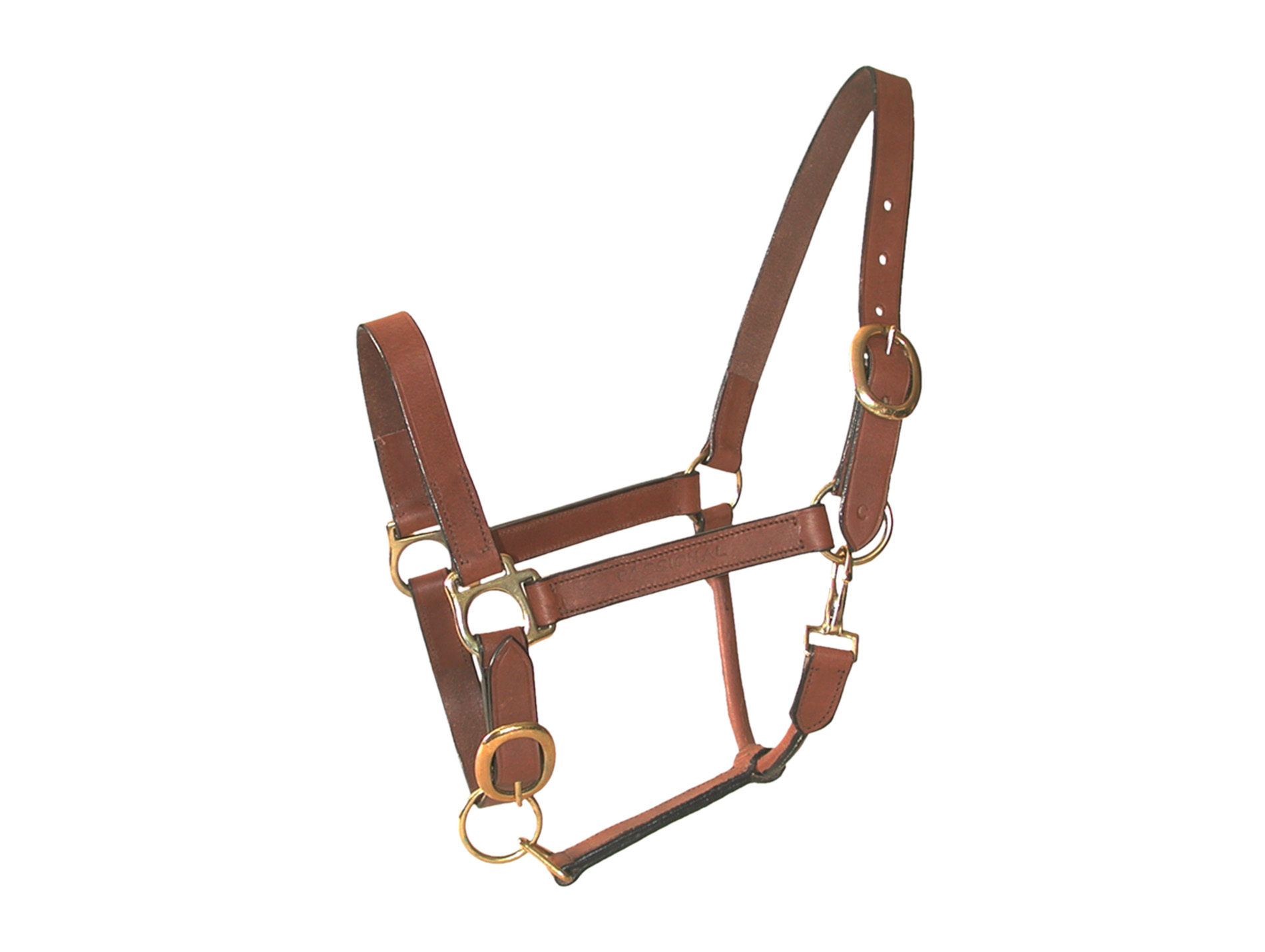 Licol cuir huile poney