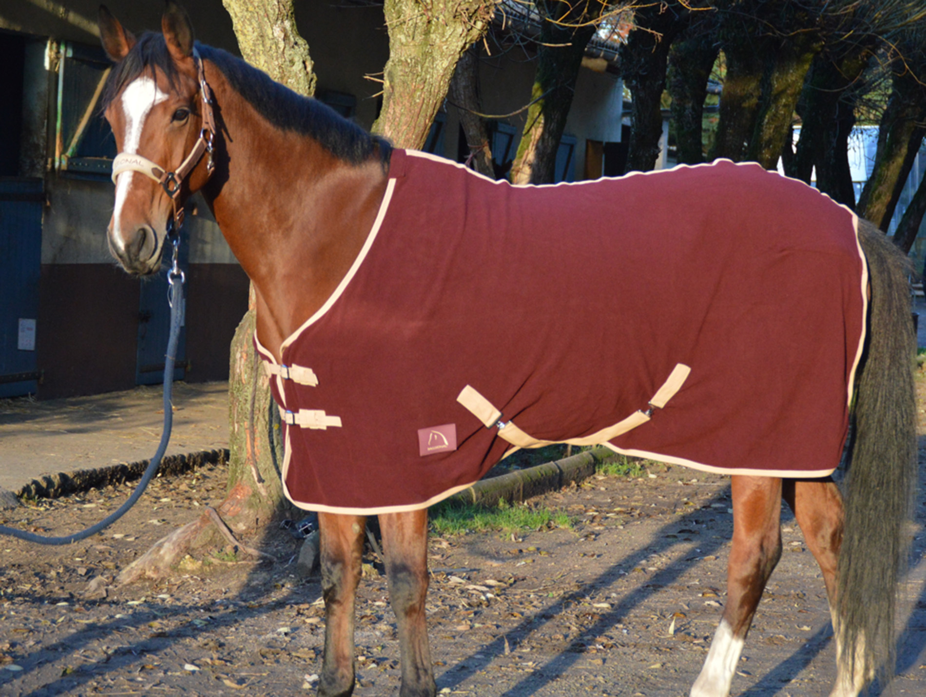 Chemise polaire 145cm bordeaux