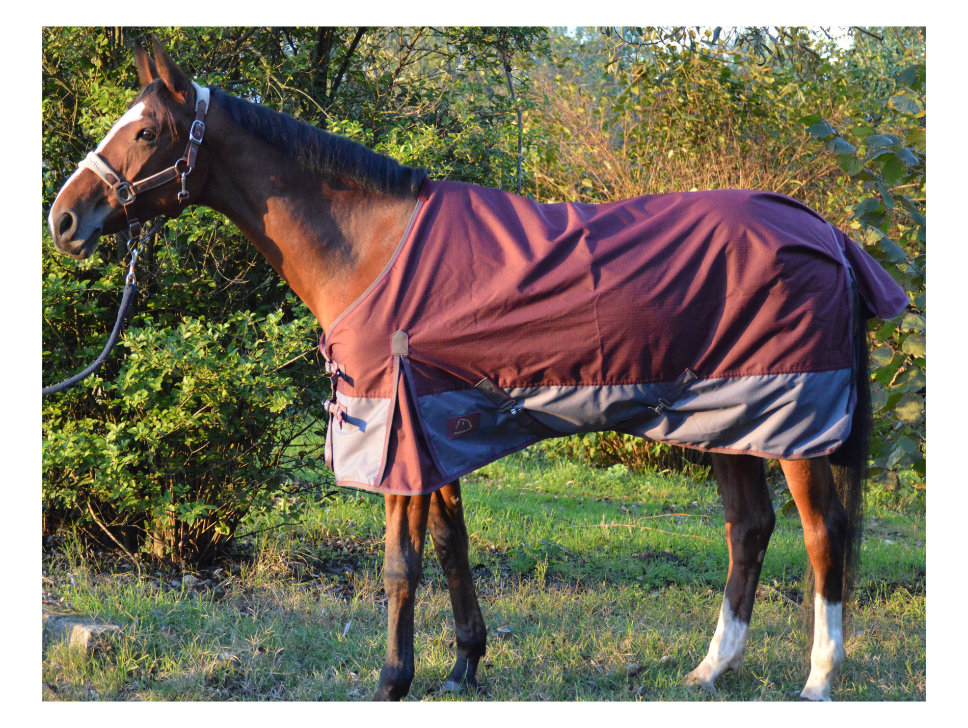 Chemise imperméable 135cm bordeaux