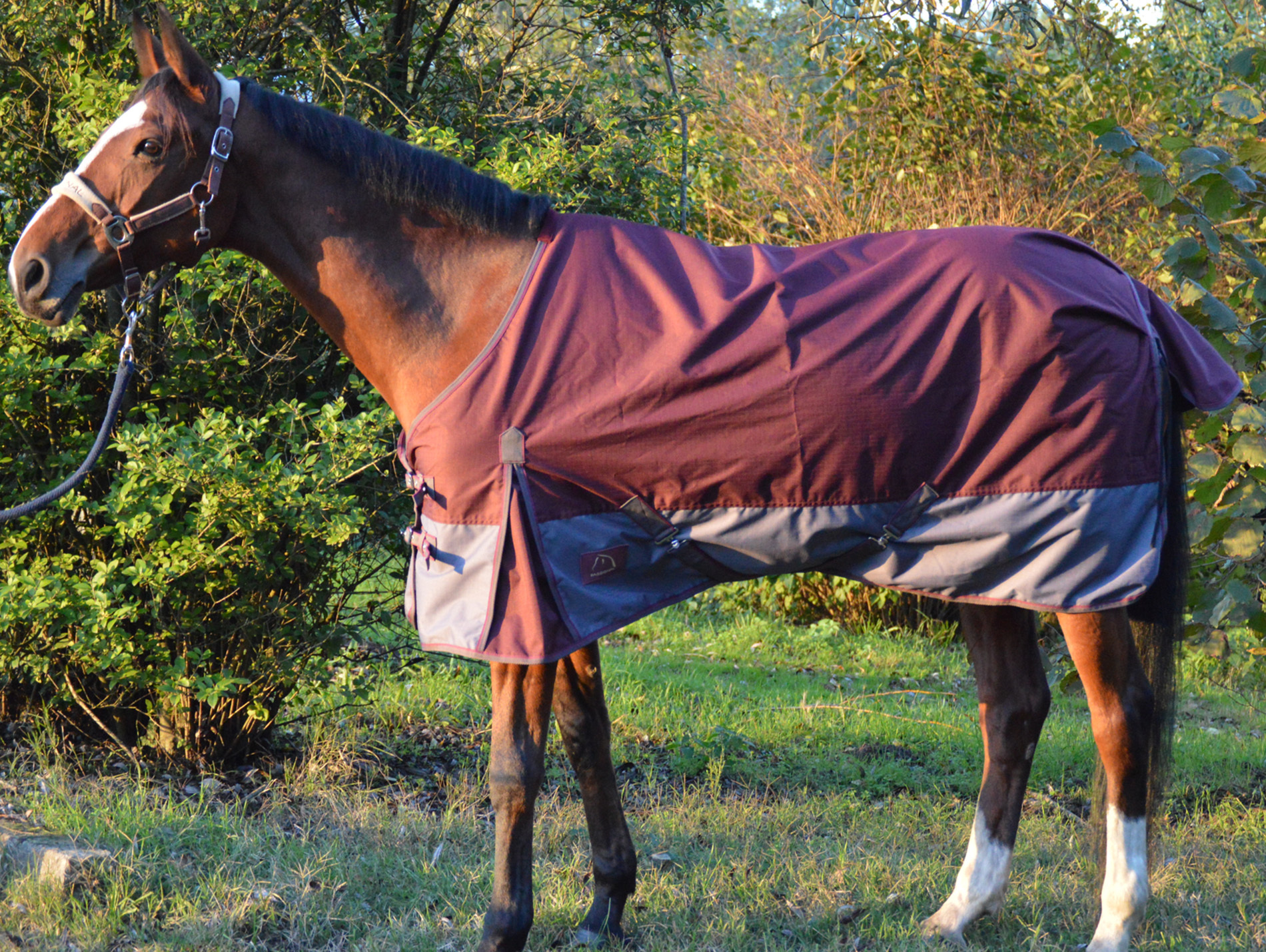 Chemise imperméable 145cm bordeaux