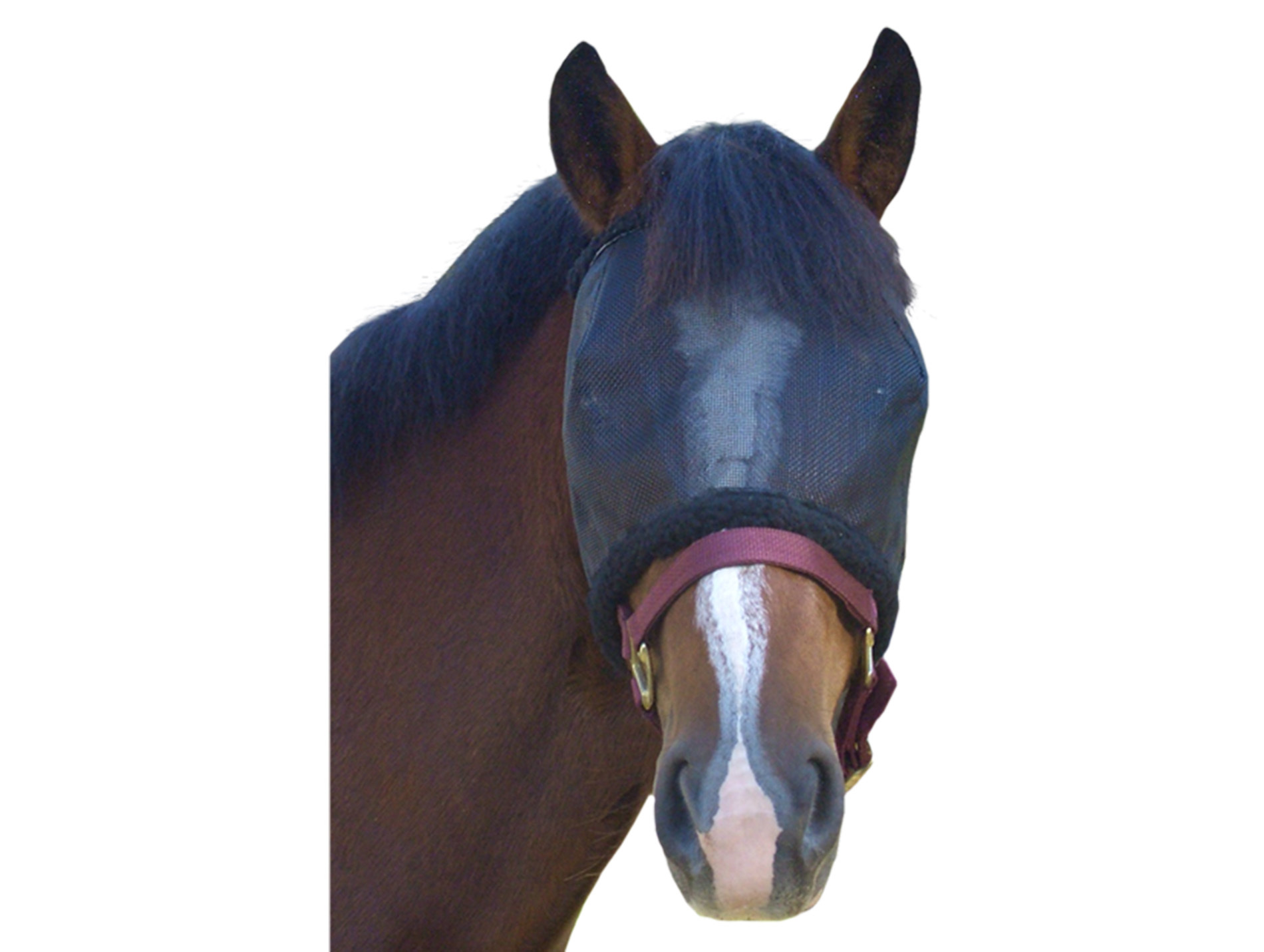Masque anti mouche taille S