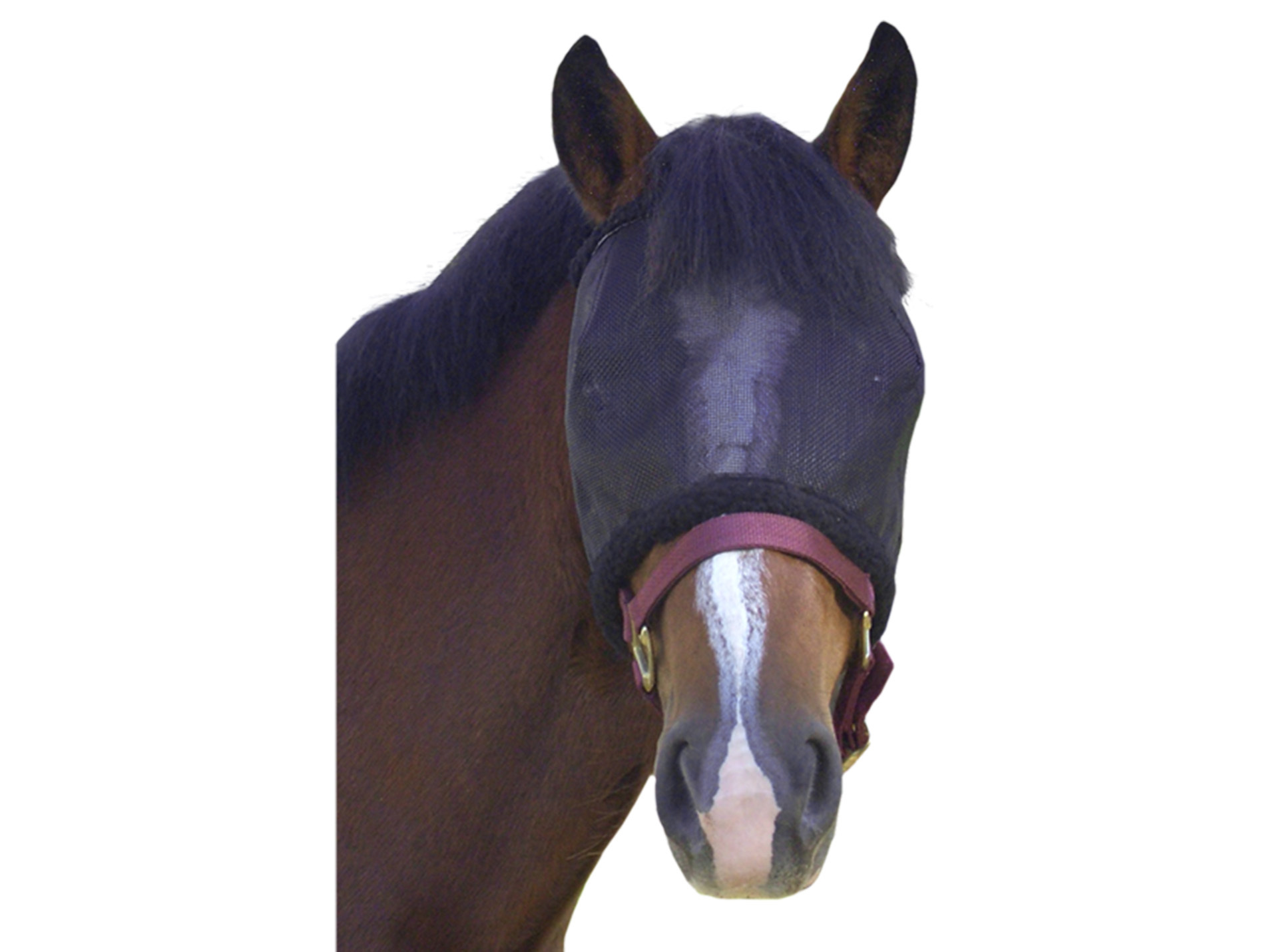 Masque anti mouche taille M