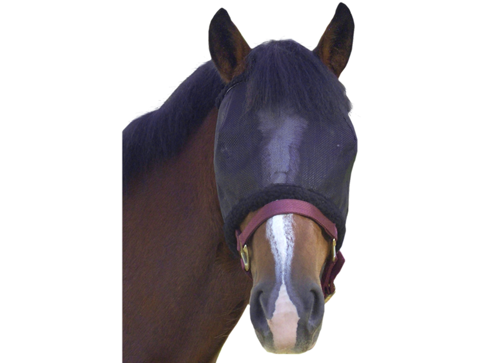 Masque anti mouche taille L