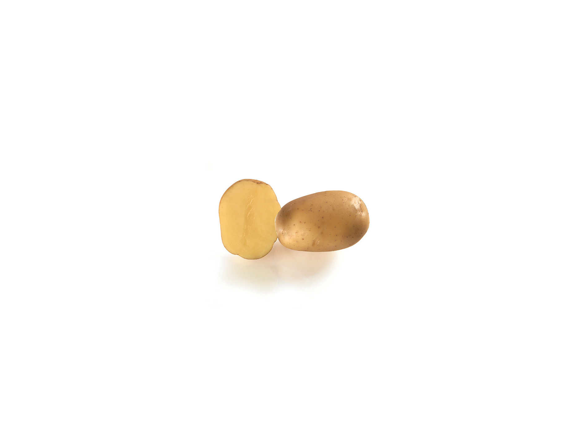 Plants de pommes de terre Dolwen de Bretagne 35/45 3kg