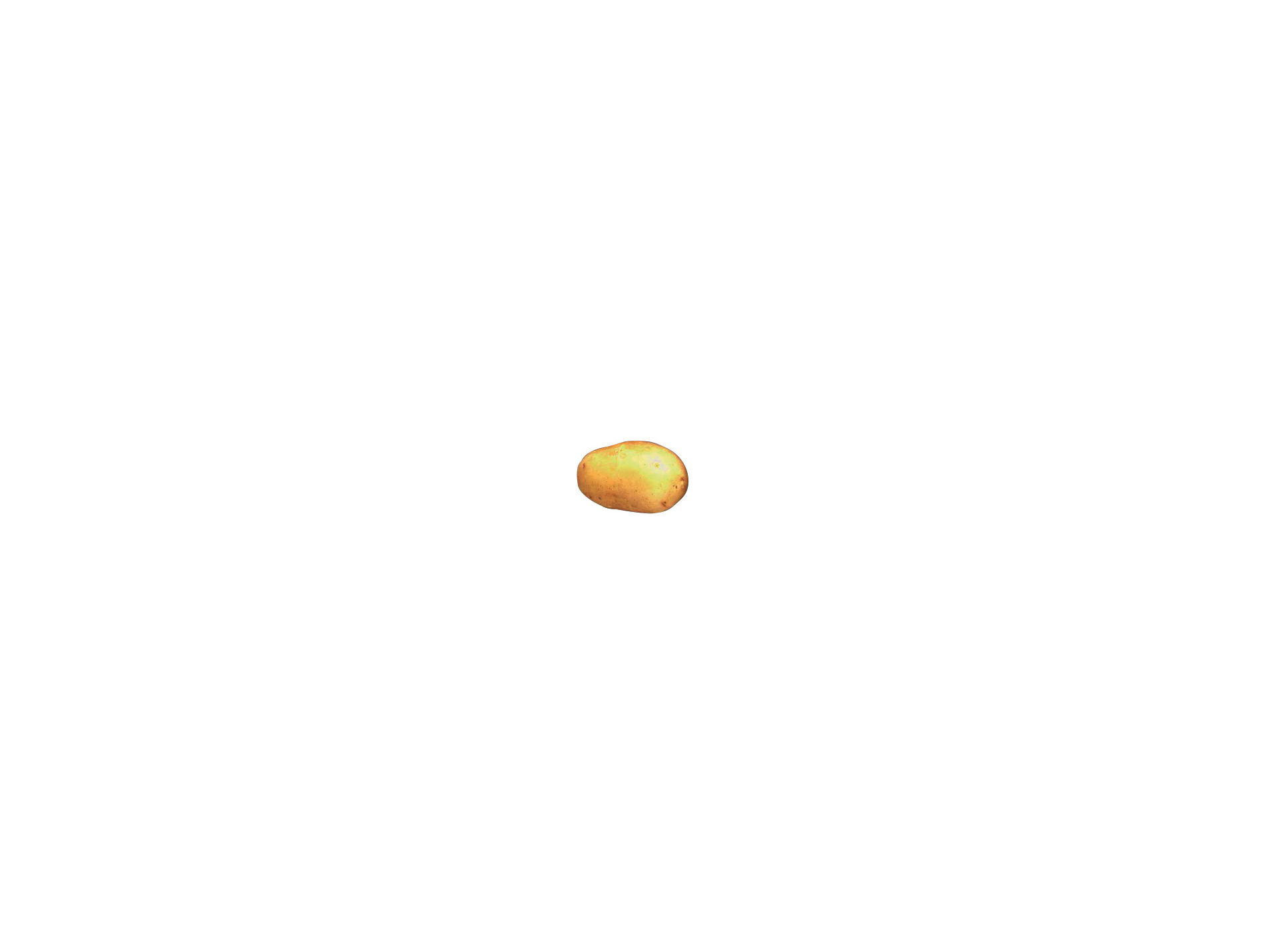 Plants de pommes de terre Gourmandine 28/35 3kg
