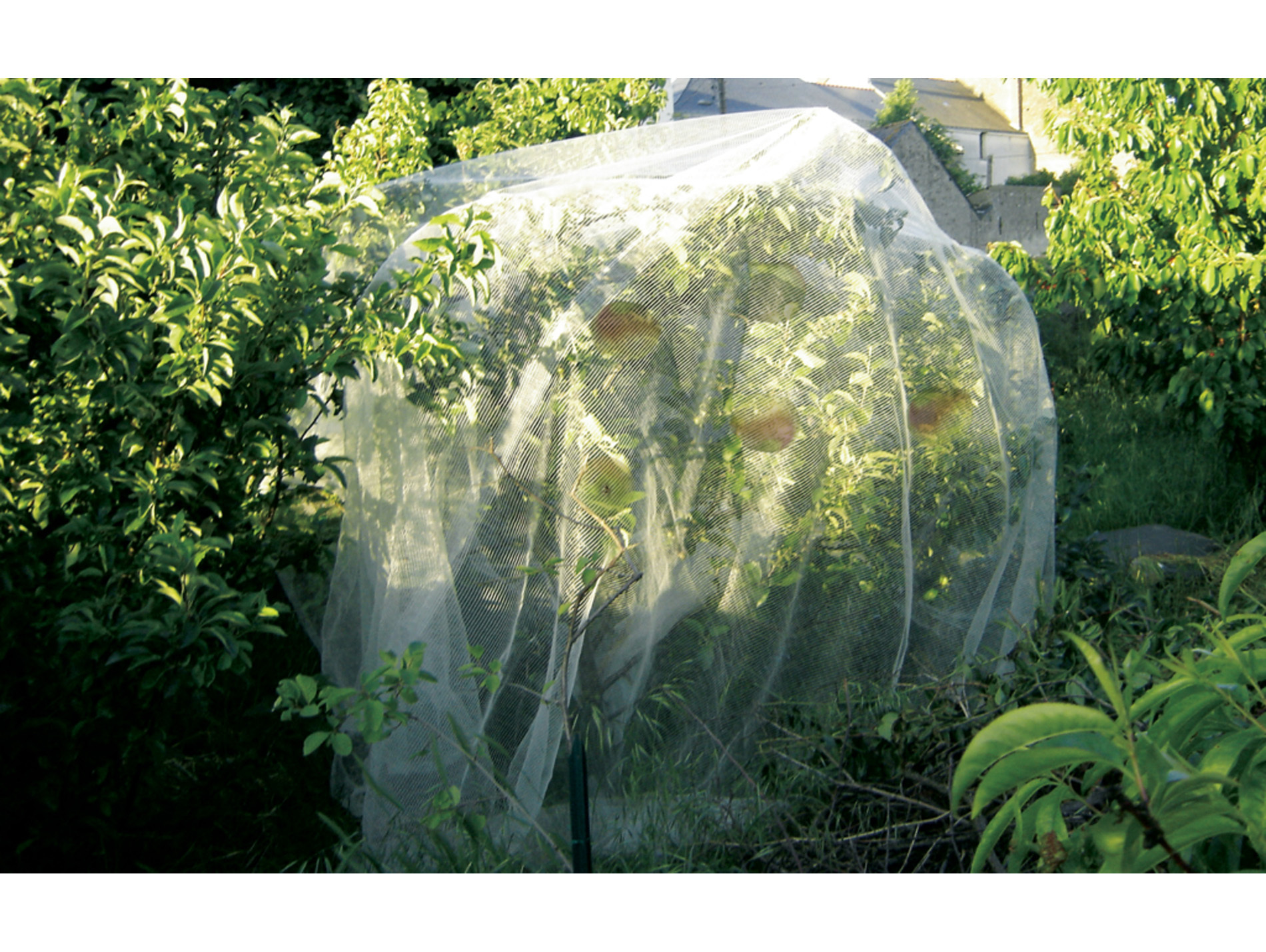 Filet de protection Protect Fruit spécial verger 5,20x5m