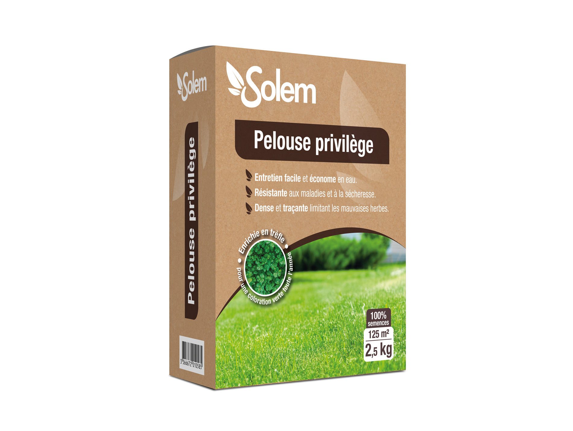 Gazon à semer Pelouse Privilège 2,5kg SOLEM