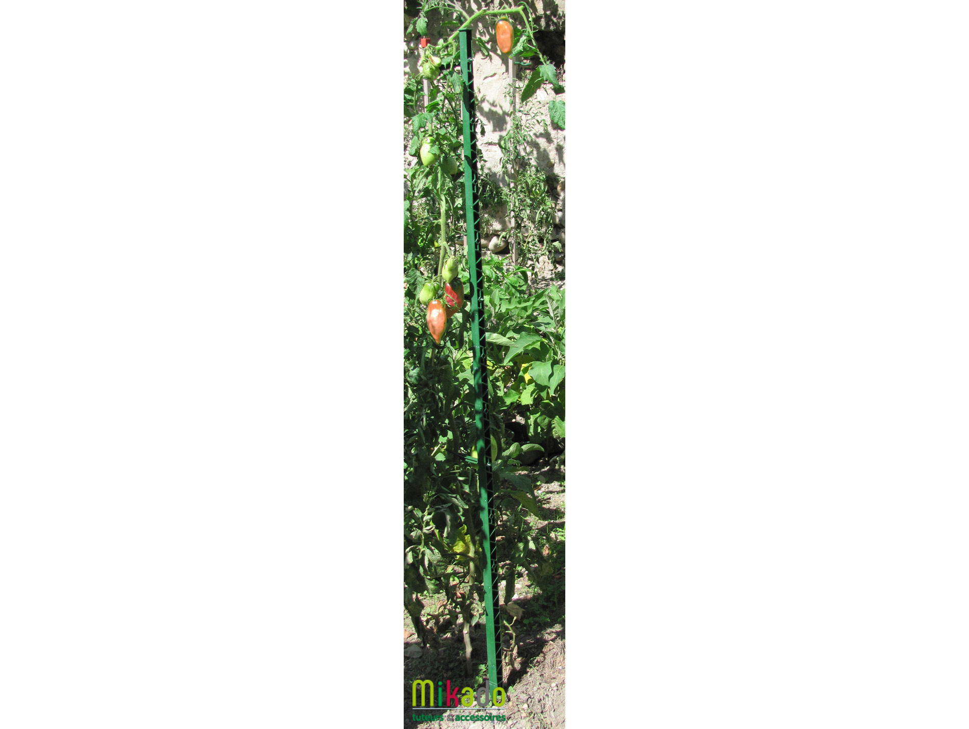 Tuteur Mikado 180cm  Vert