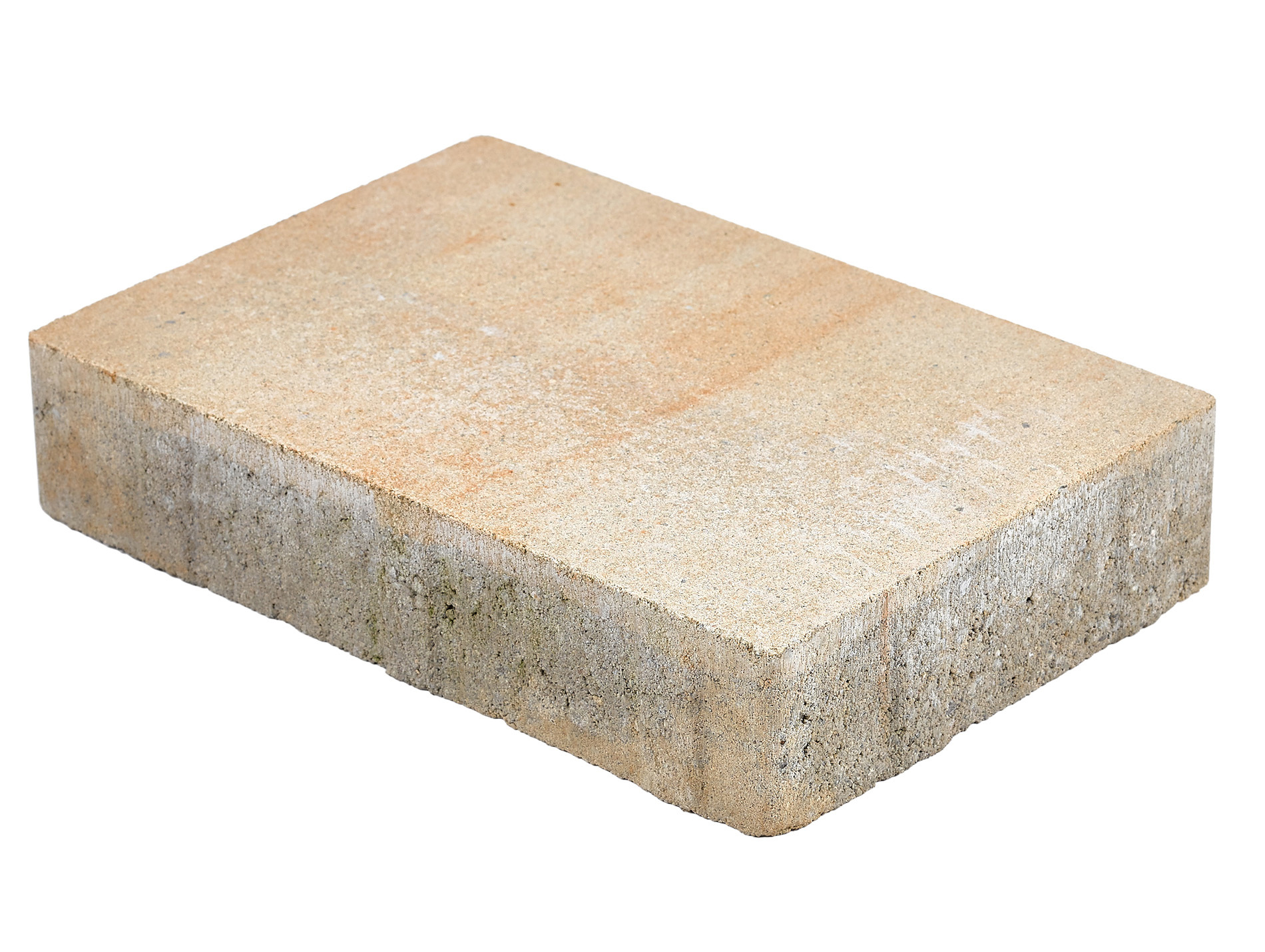 Pavé Realta 30x20x6cm savane
